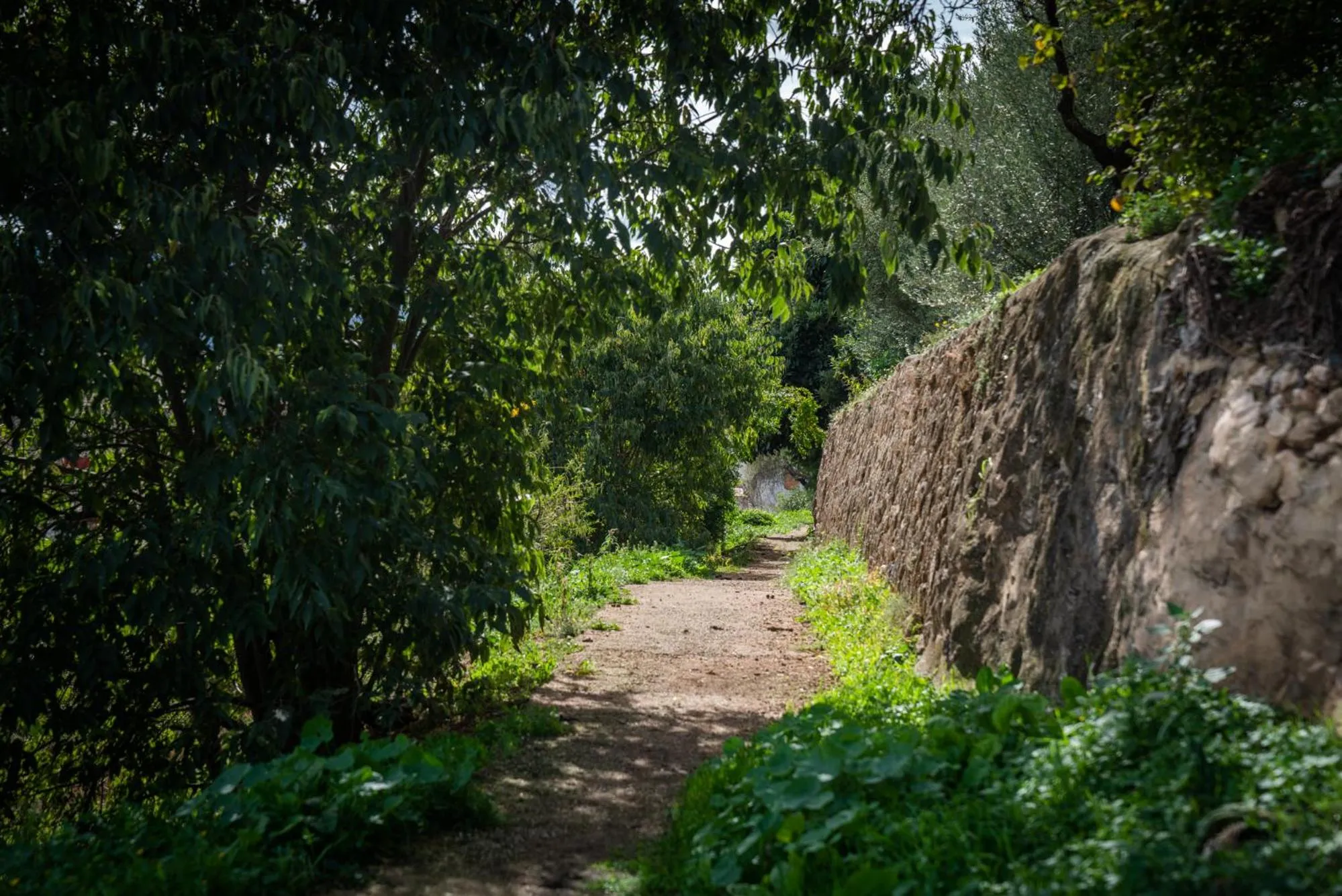 Natural landscape in 7 Pisos Casa Rural de Pueblo