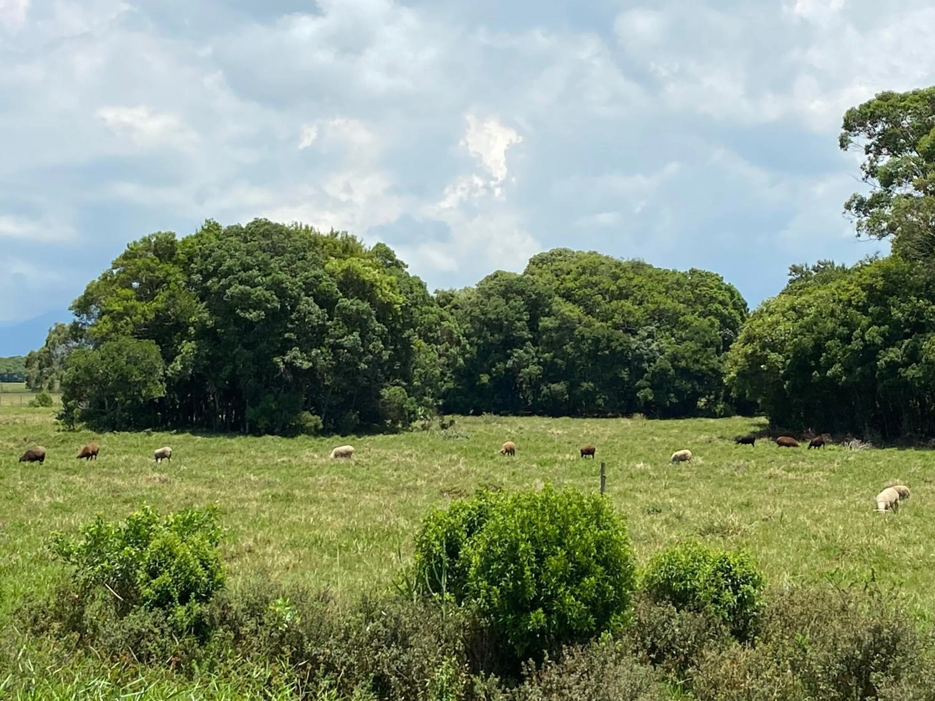 Haras Trevo de Ferro, Praia, Piscina e Campo