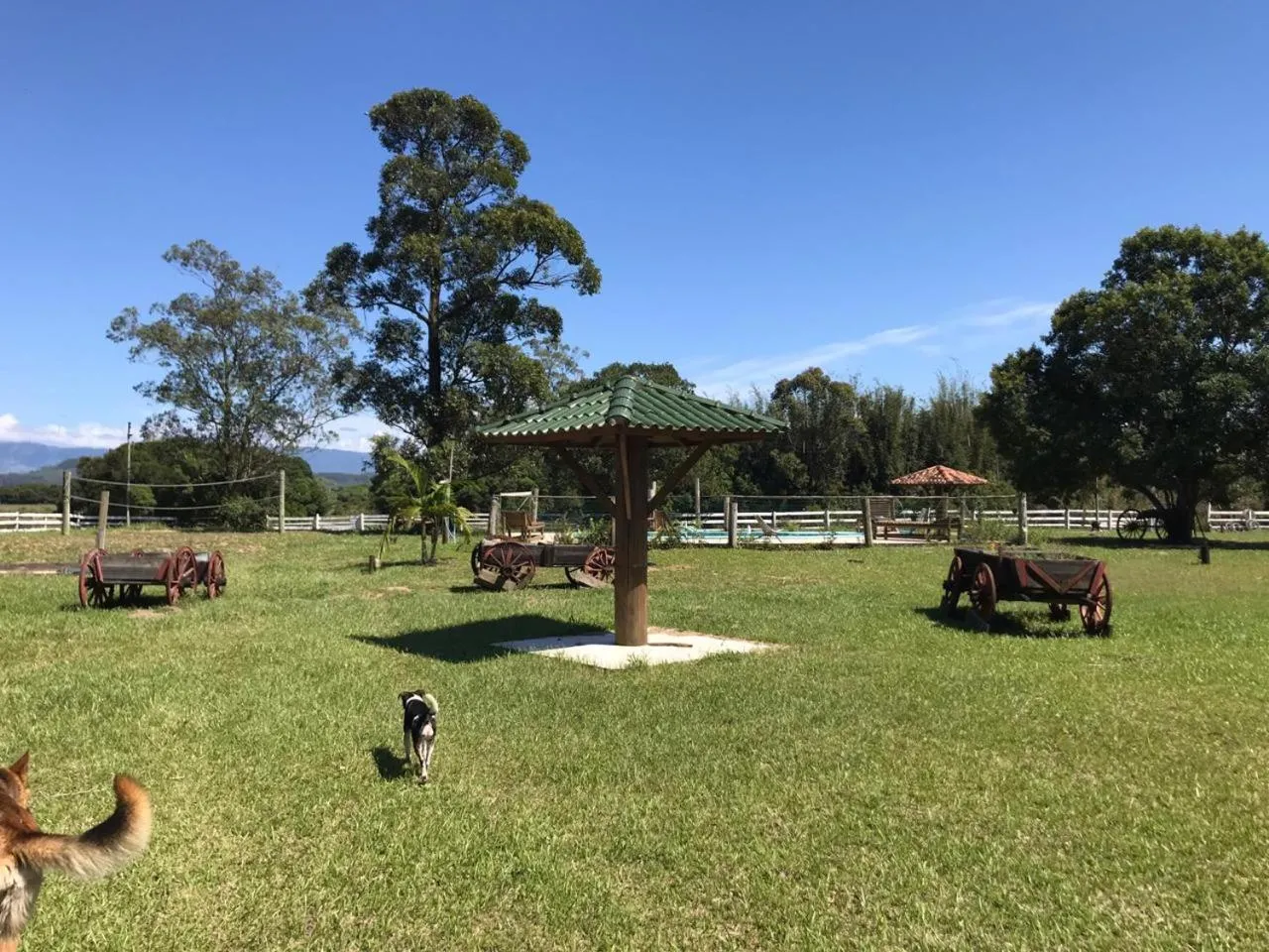 Haras Trevo de Ferro, Praia, Piscina e Campo