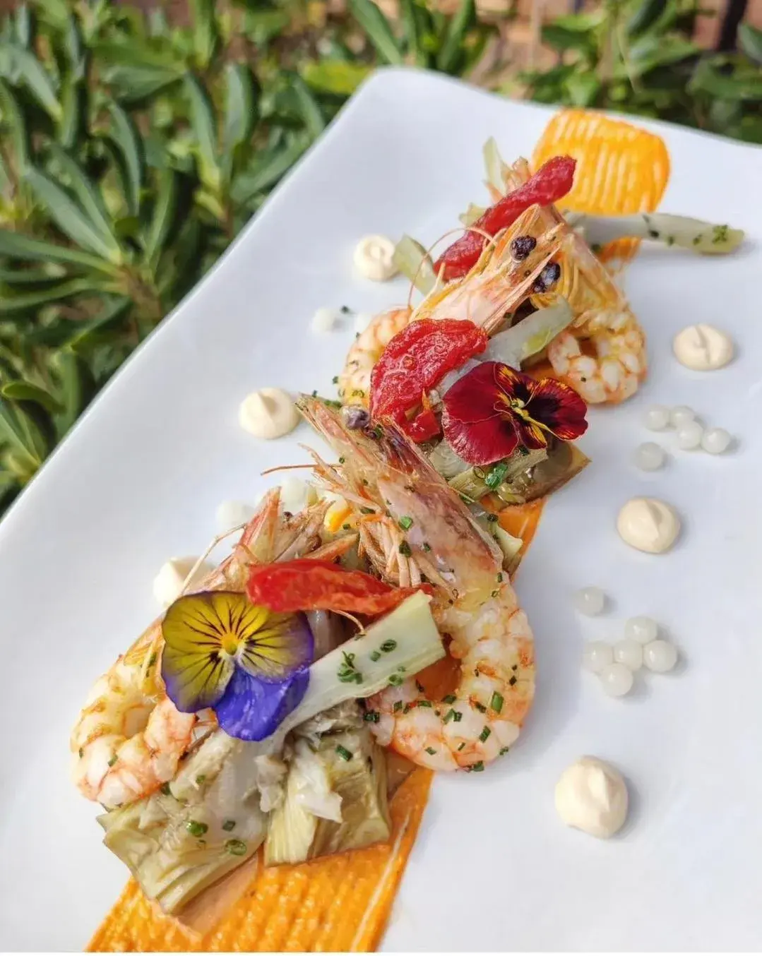 Restaurant/places to eat in Mas Ses Vinyes - Adults Only Restaurant/places to eat in Mas Ses Vinyes - Adults Only