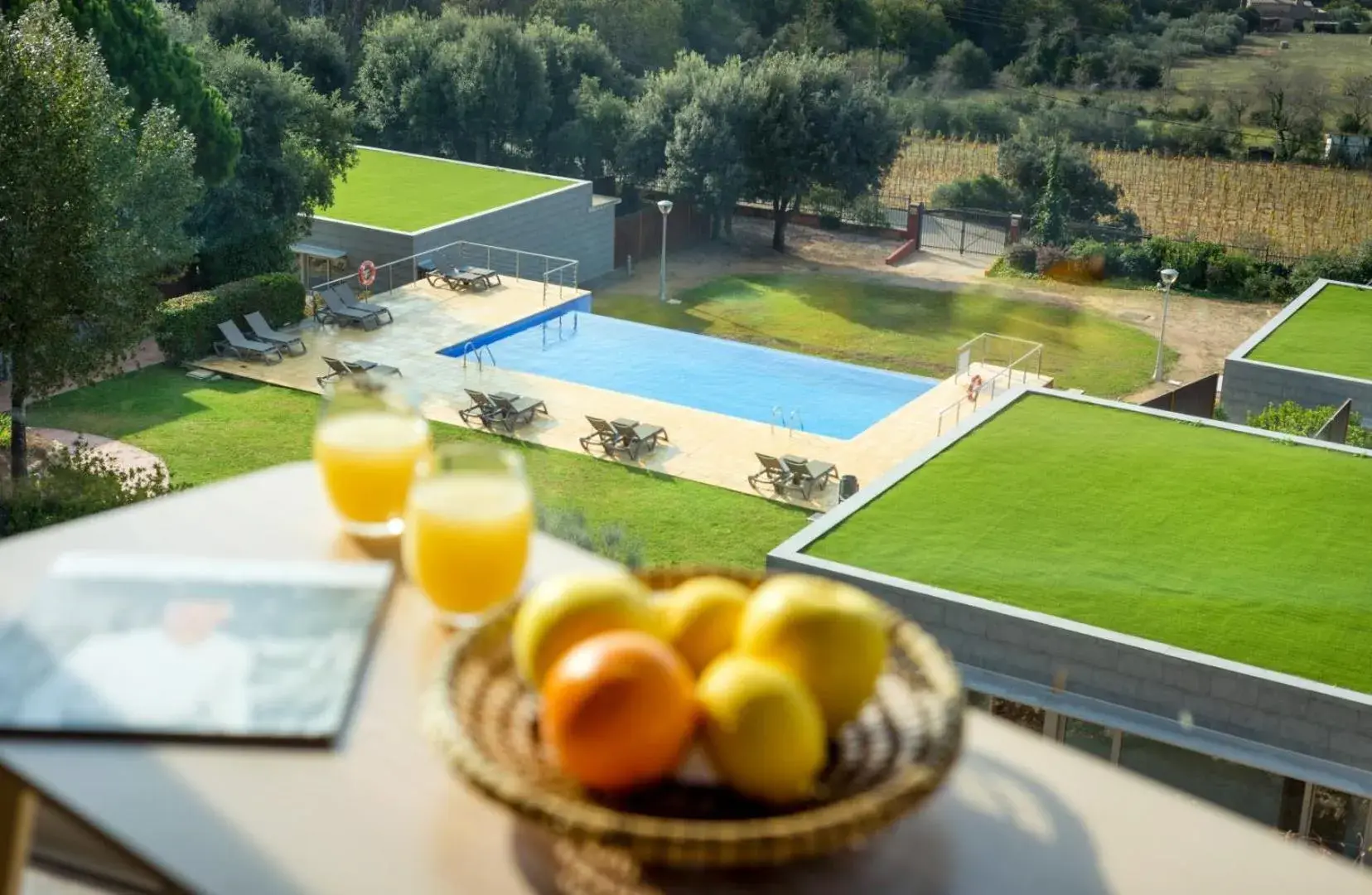 Pool view in Mas Ses Vinyes - Adults Only Pool view in Mas Ses Vinyes - Adults Only