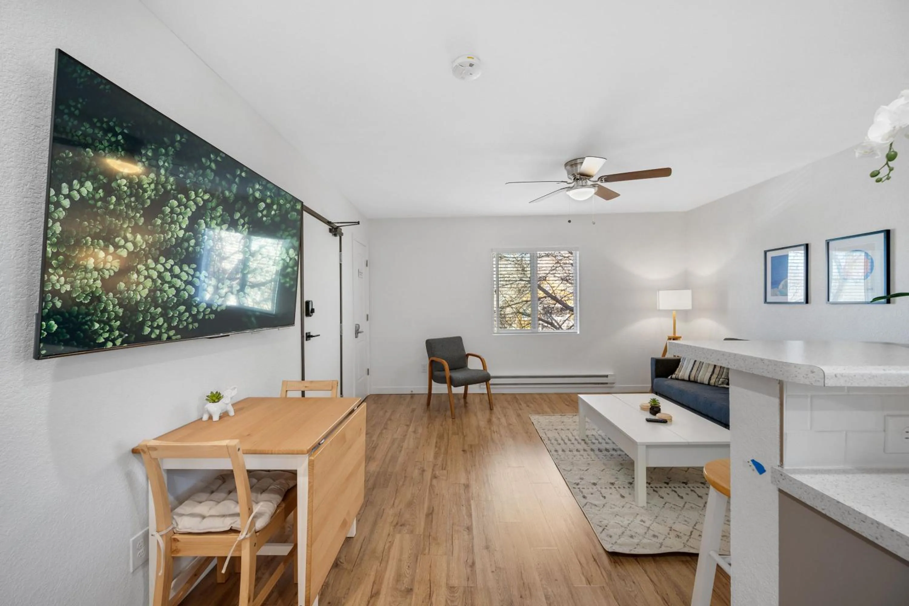TV and multimedia in Beautiful Work Stay Retreat in Pueblo Near Downtown
