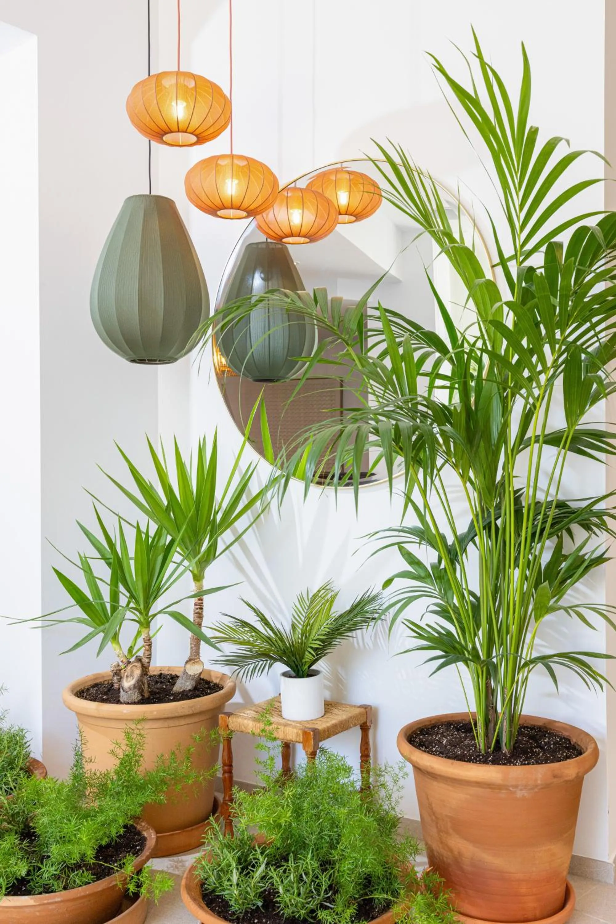 Seating area in Sol Cala d´Or Apartamentos