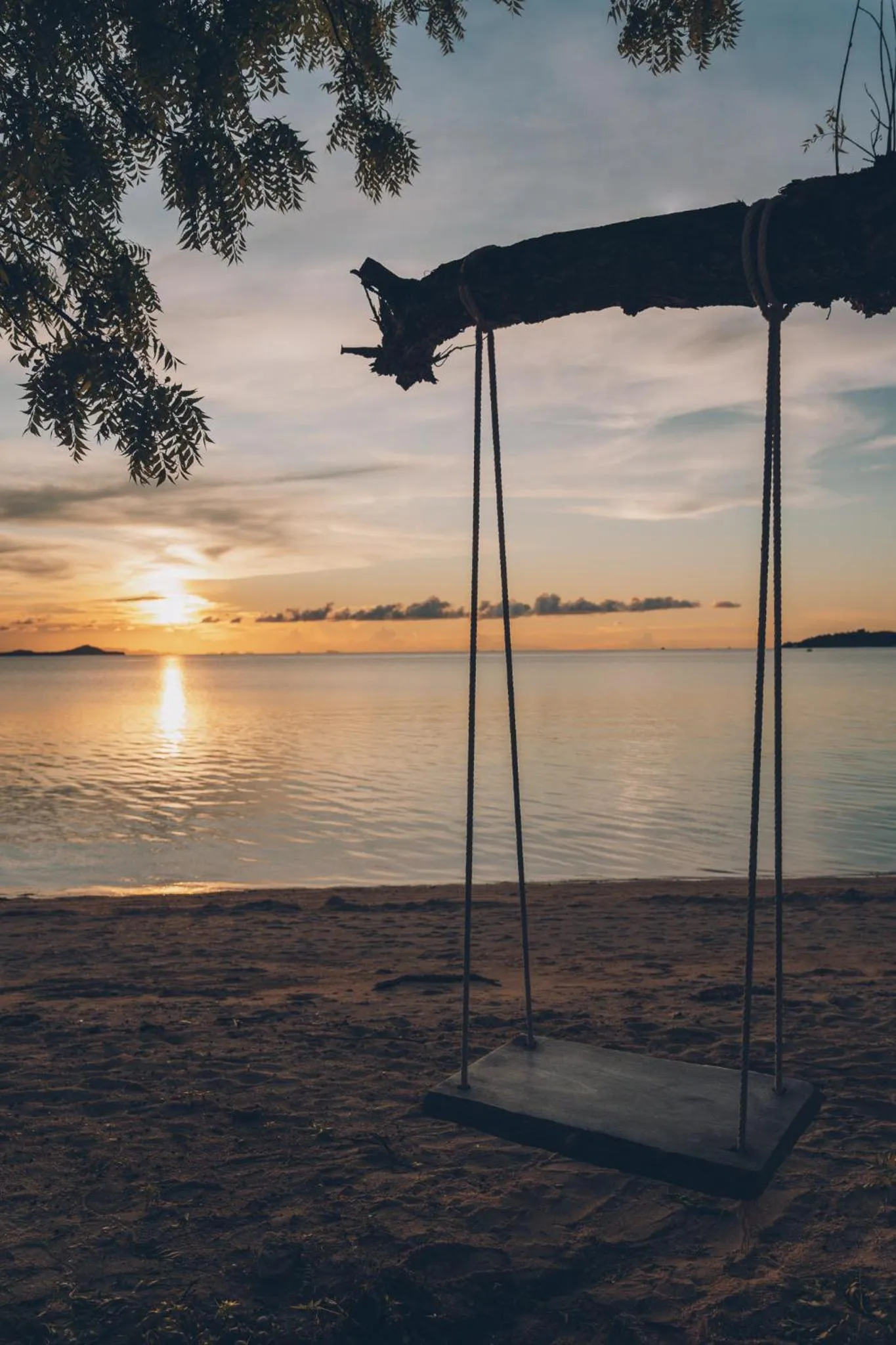 Natural landscape in Allure Resort