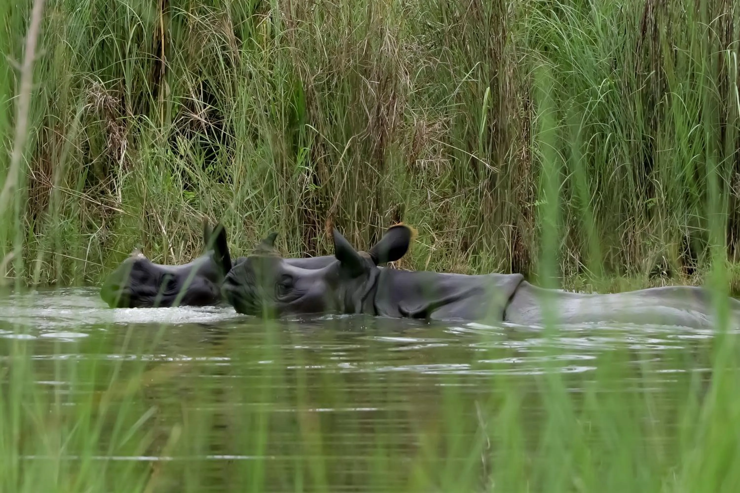 Natural landscape in Hotel Aikawa