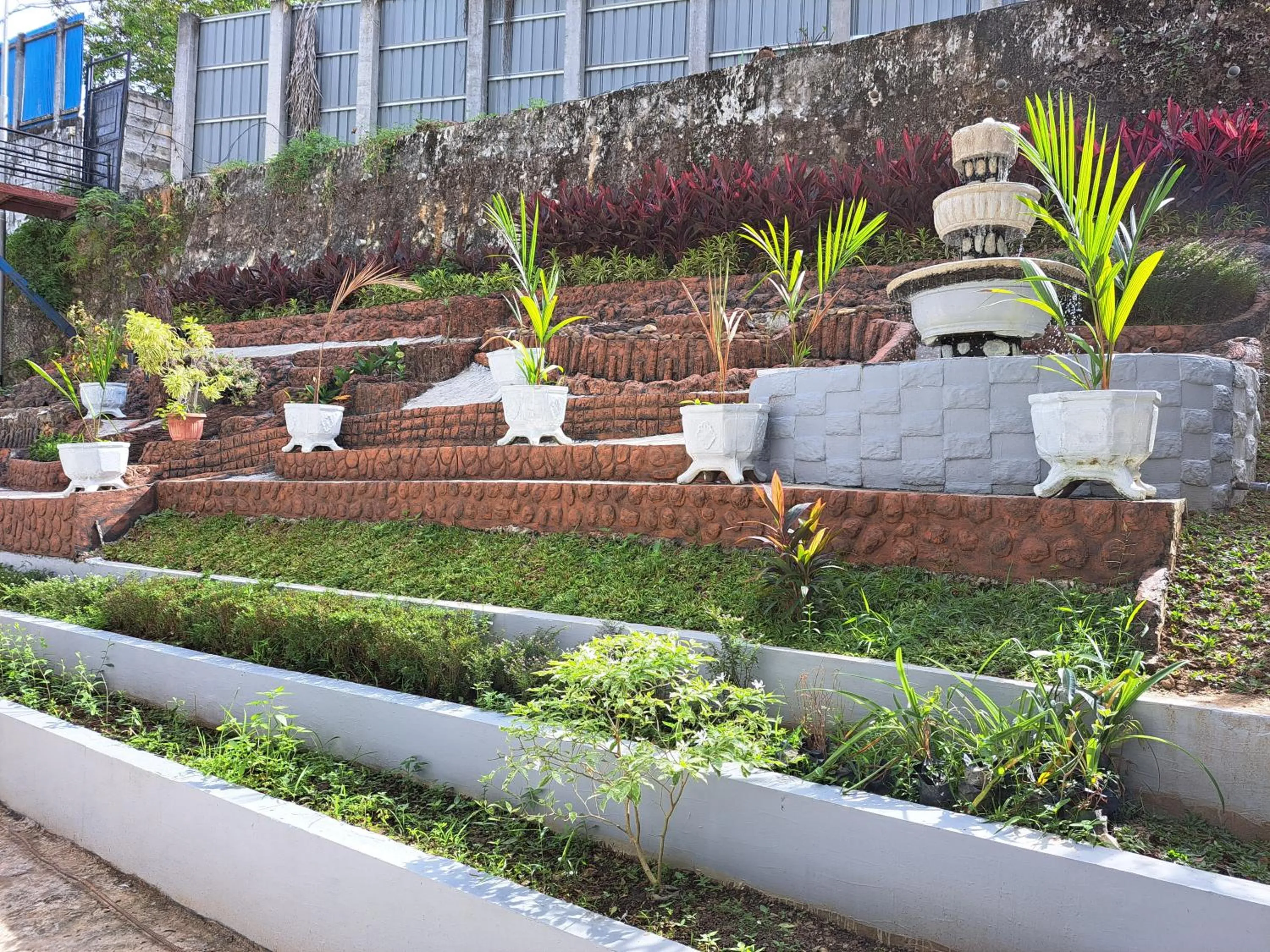 Garden view in Pillow Guest House