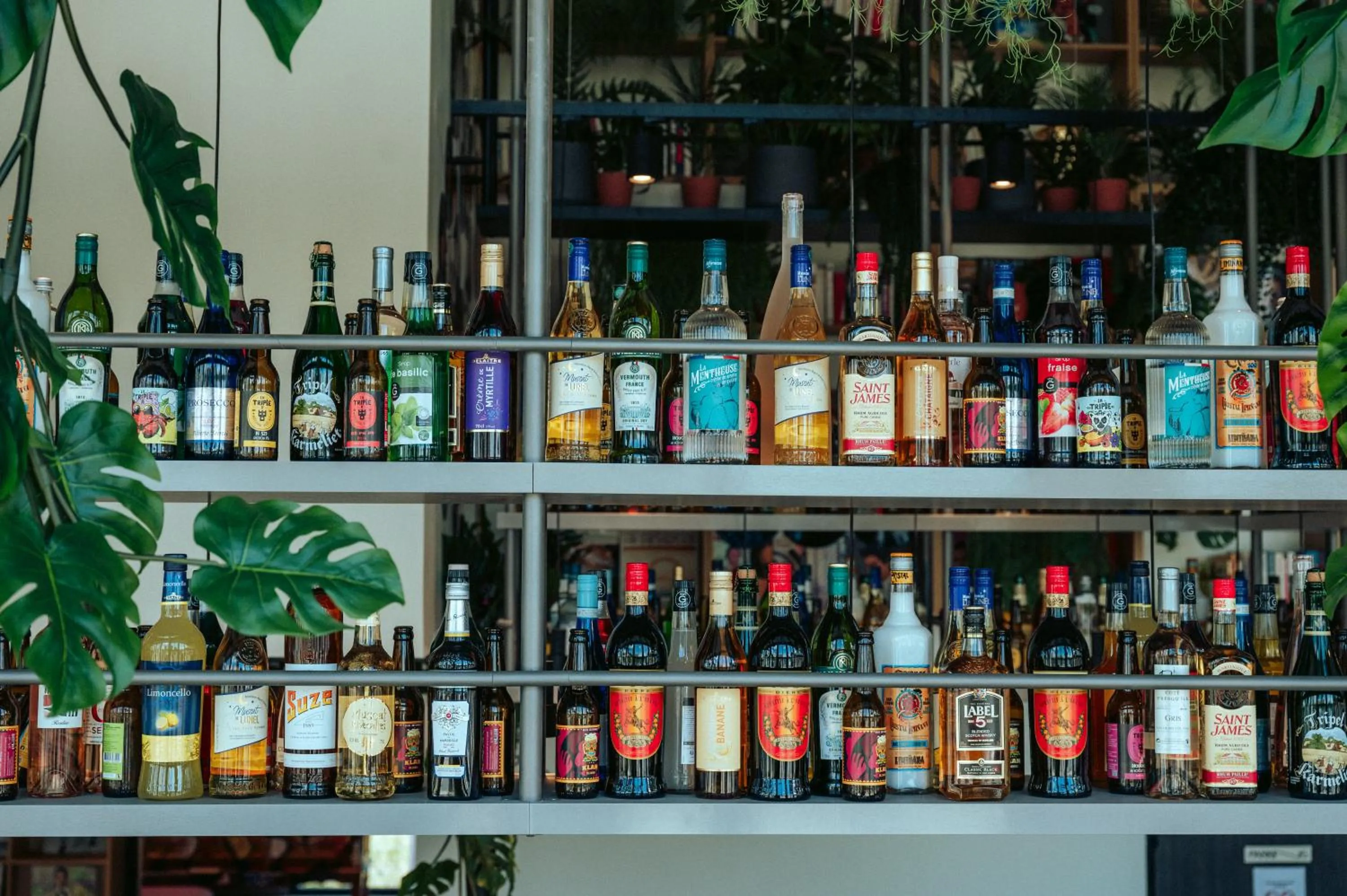 Lounge or bar in JOST Hotel Montpellier Centre St Roch