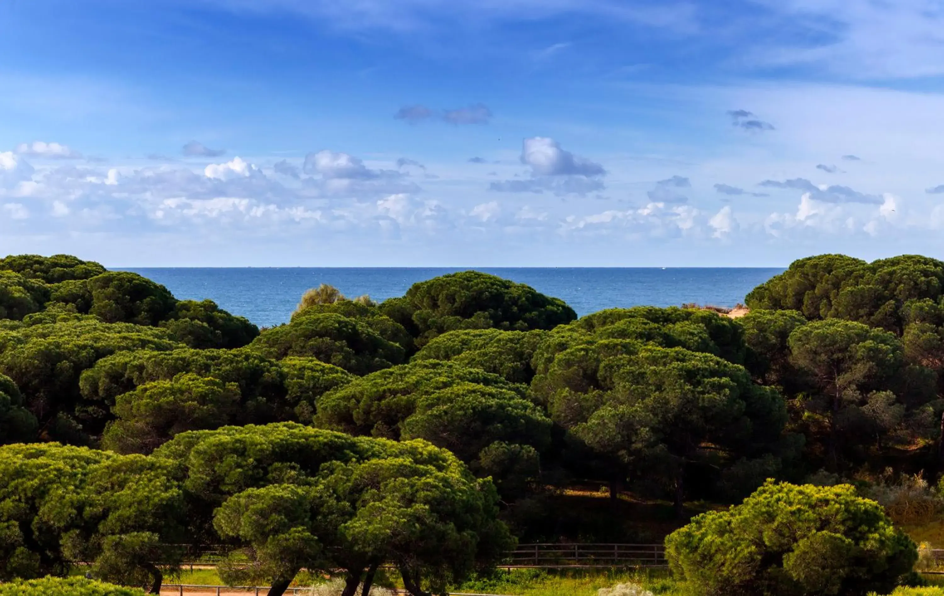 View (from property/room) in Barceló Punta Umbría Beach Resort View (from property/room) in Barceló Punta Umbría Beach Resort