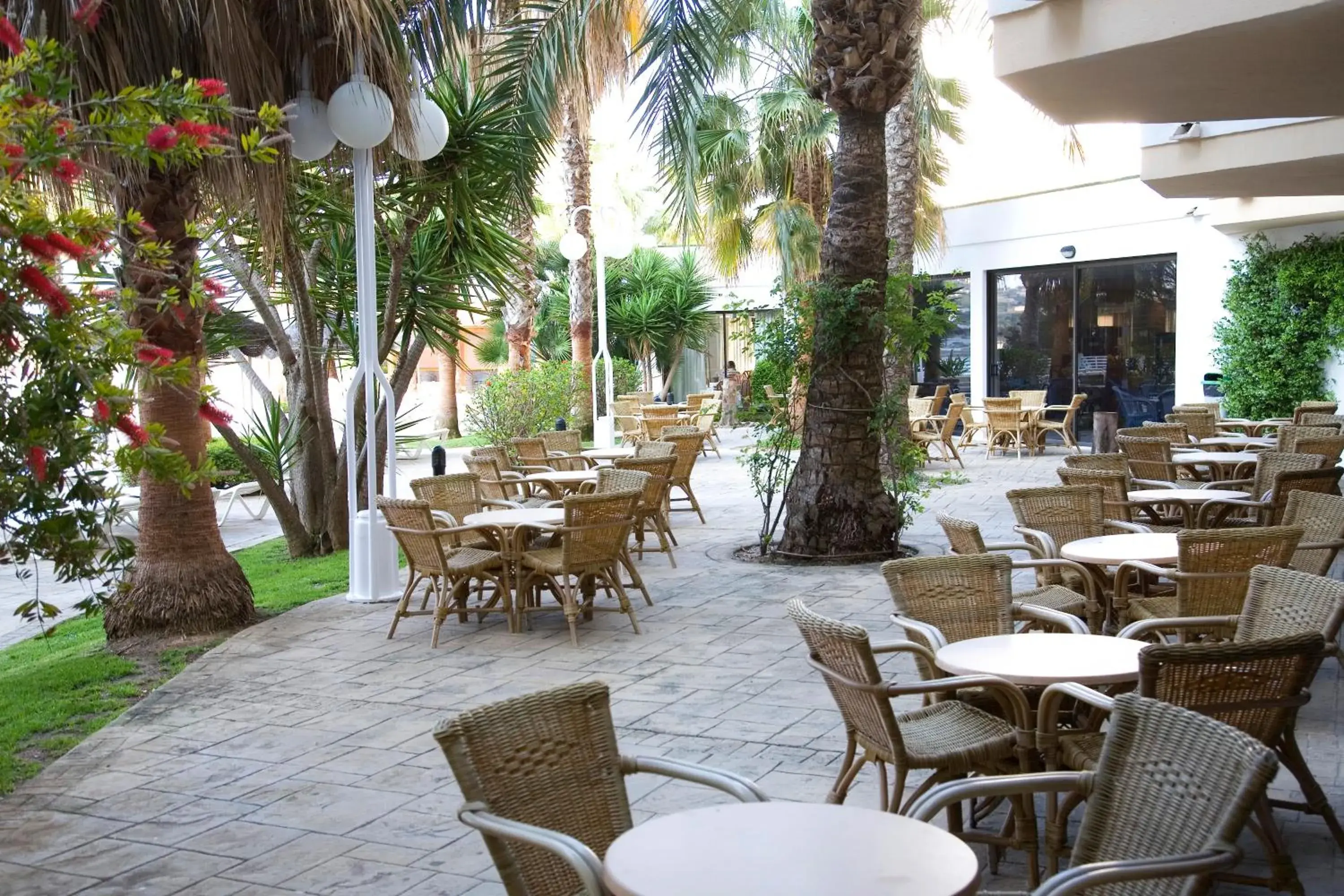 Restaurant/places to eat in TRH Jardín Del Mar Restaurant/places to eat in TRH Jardín Del Mar