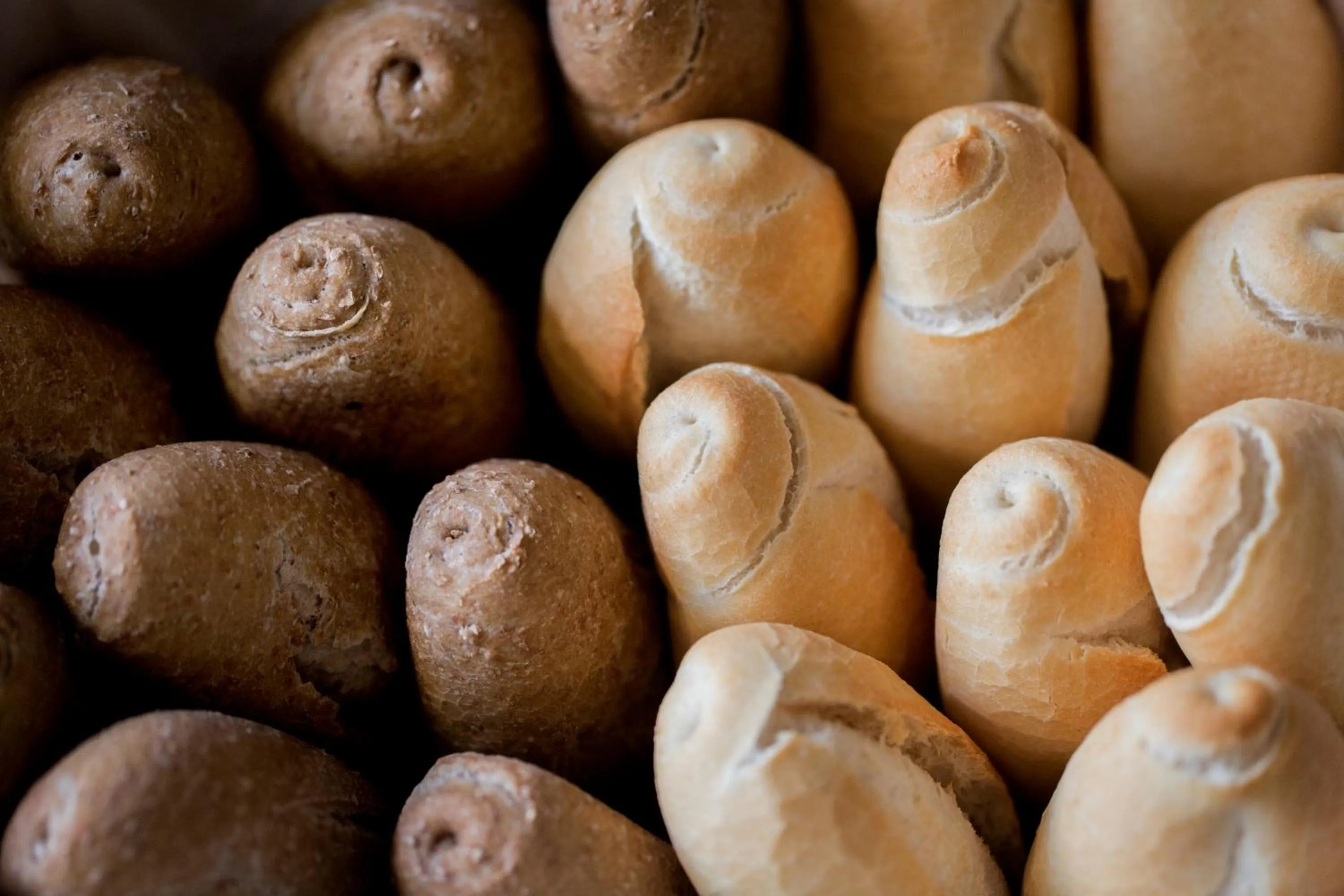 Food and drinks in Hotel Plaza Cavana