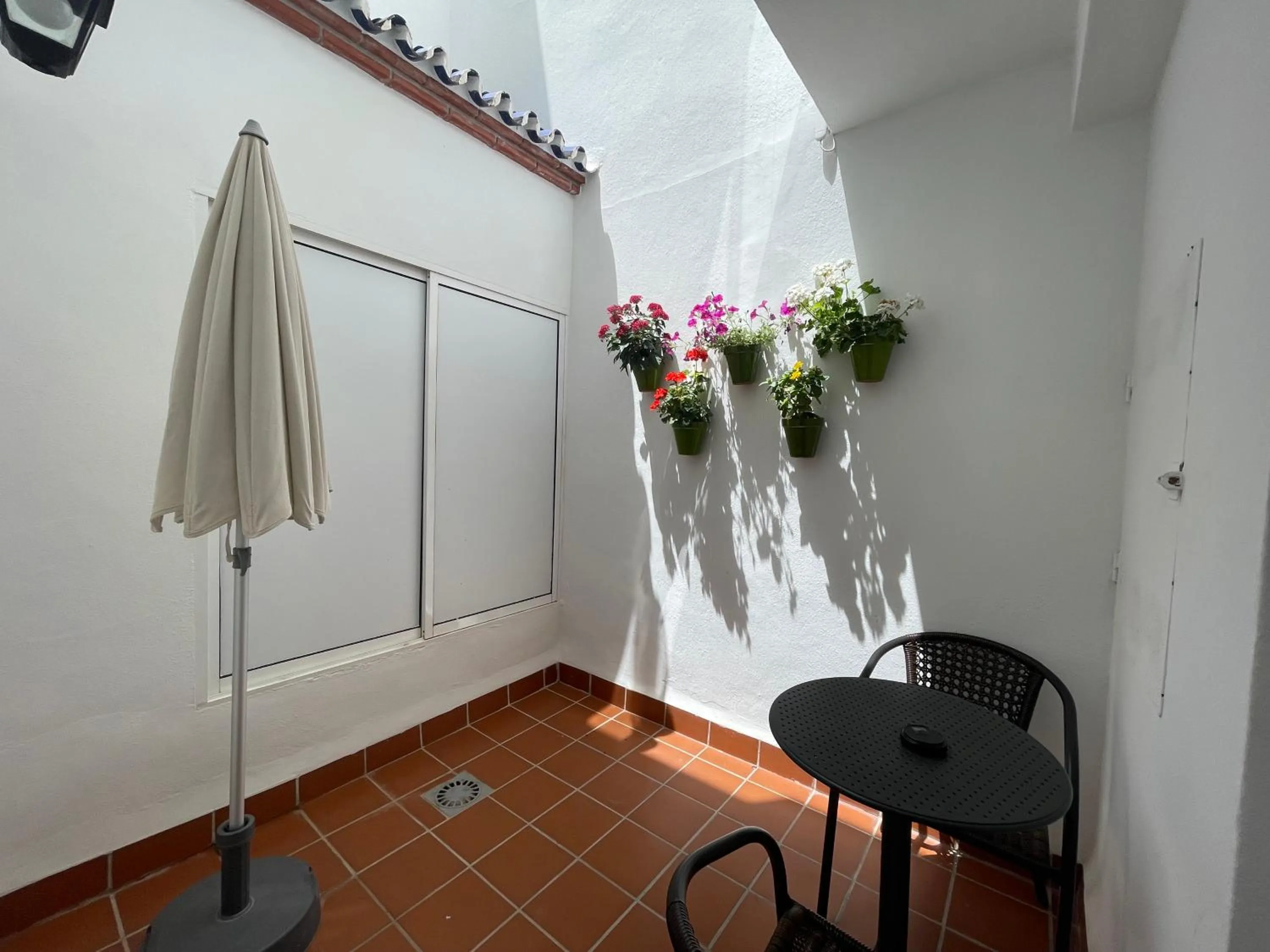 Patio in Hotel Plaza Cavana