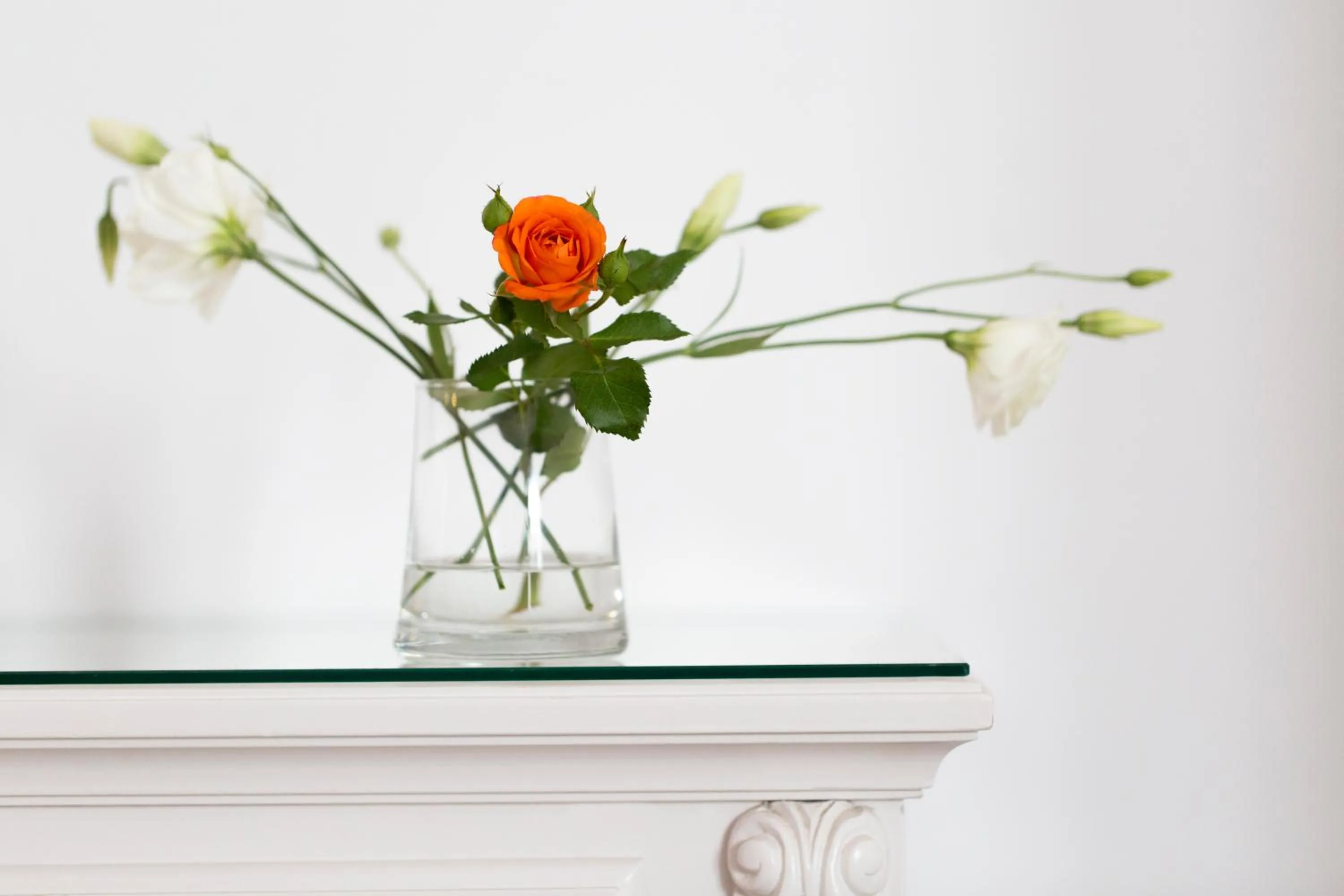 Decorative detail in Hotel Plaza Cavana