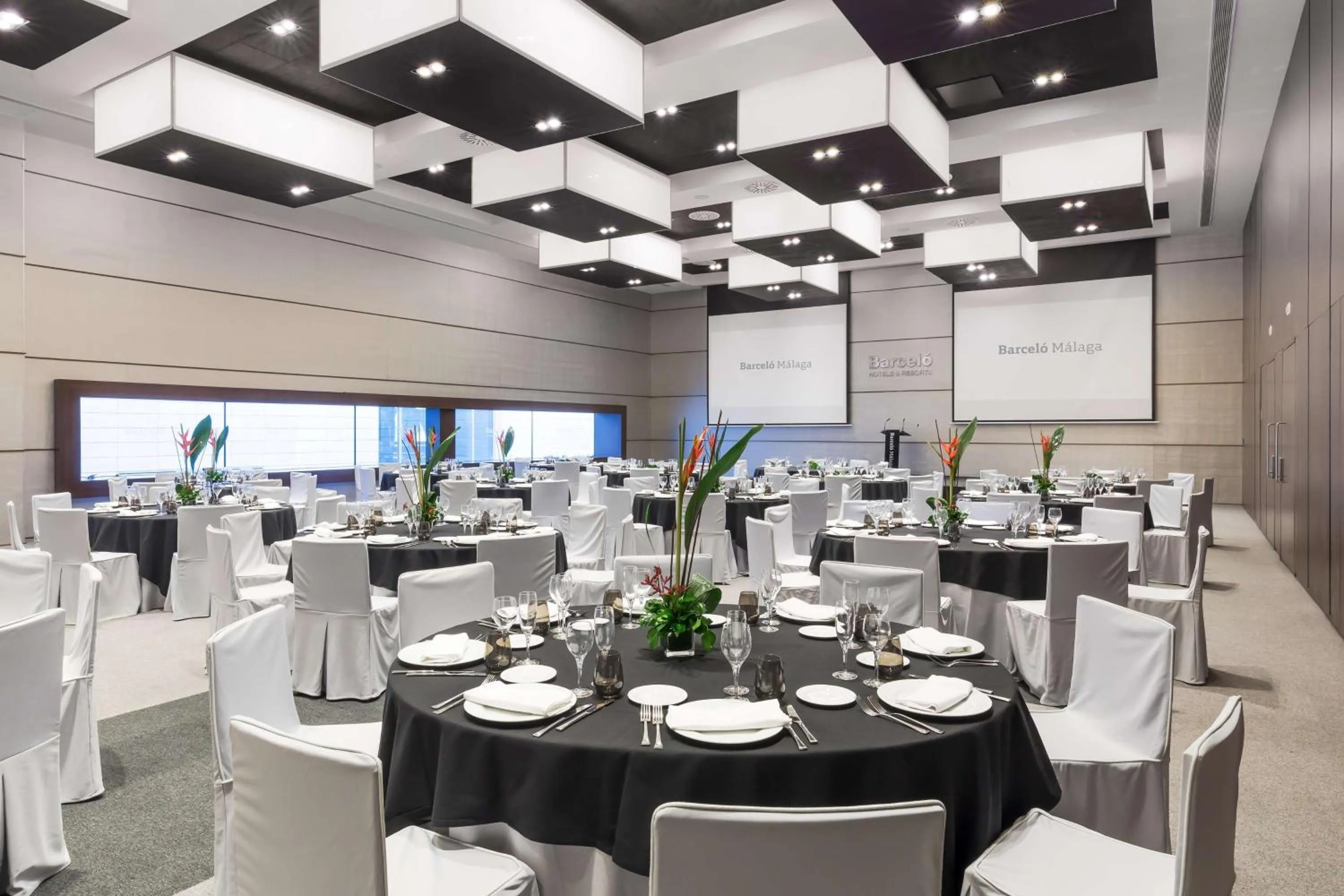 Business facilities in Barceló Malaga