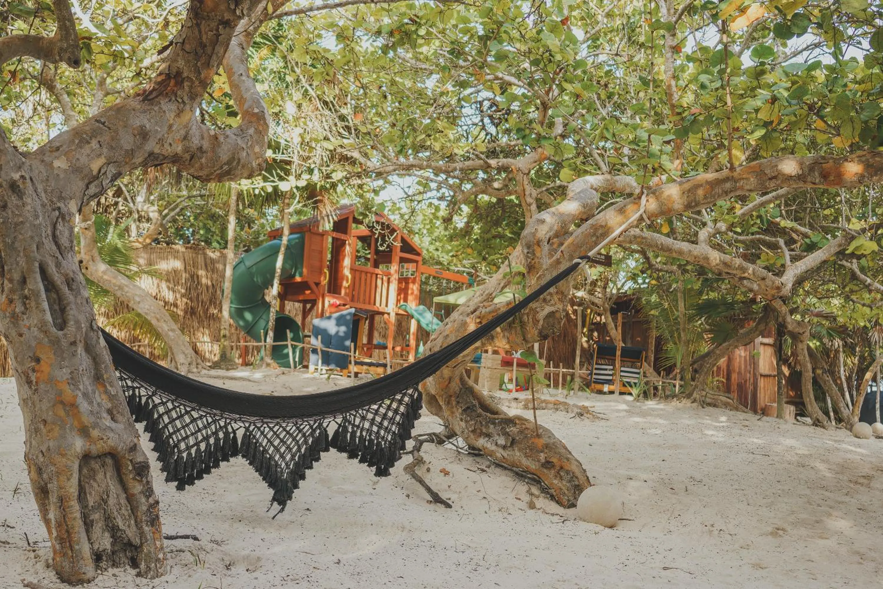 Natural landscape in Astral Tulum