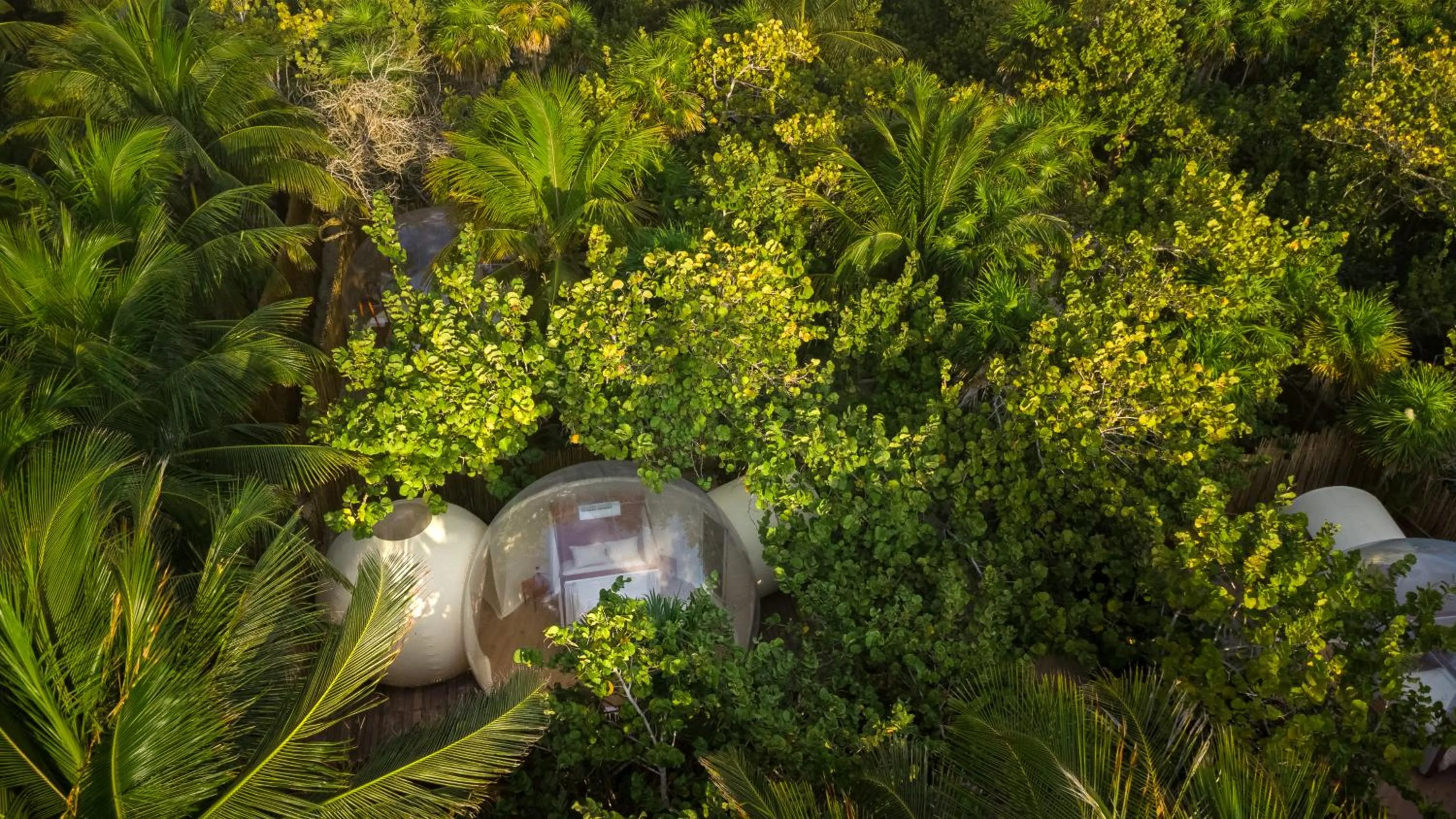 Bird's eye view in Astral Tulum