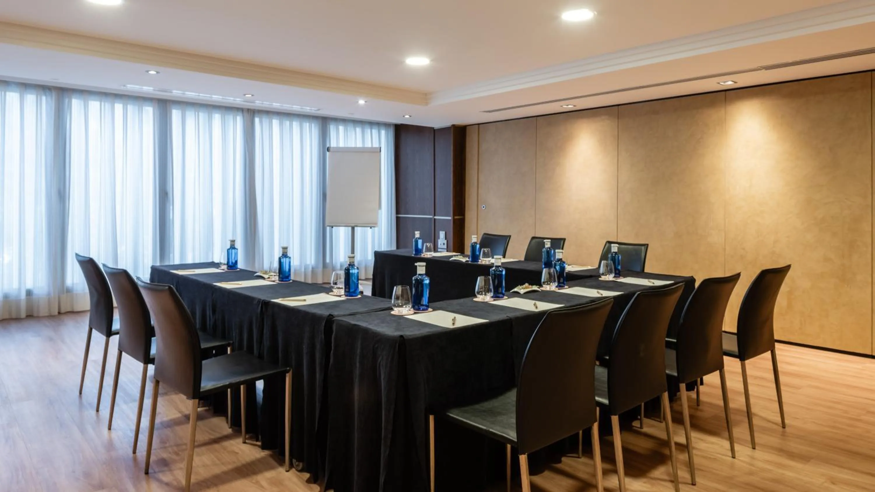 Meeting/conference room in Hotel Don Pepe Gran Meliá