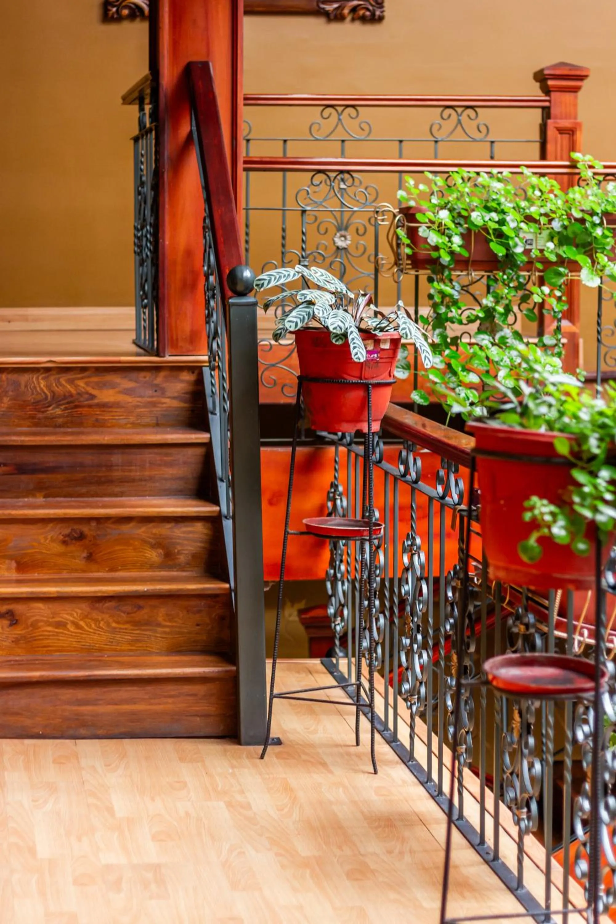 Balcony/Terrace in Hotel Campanario