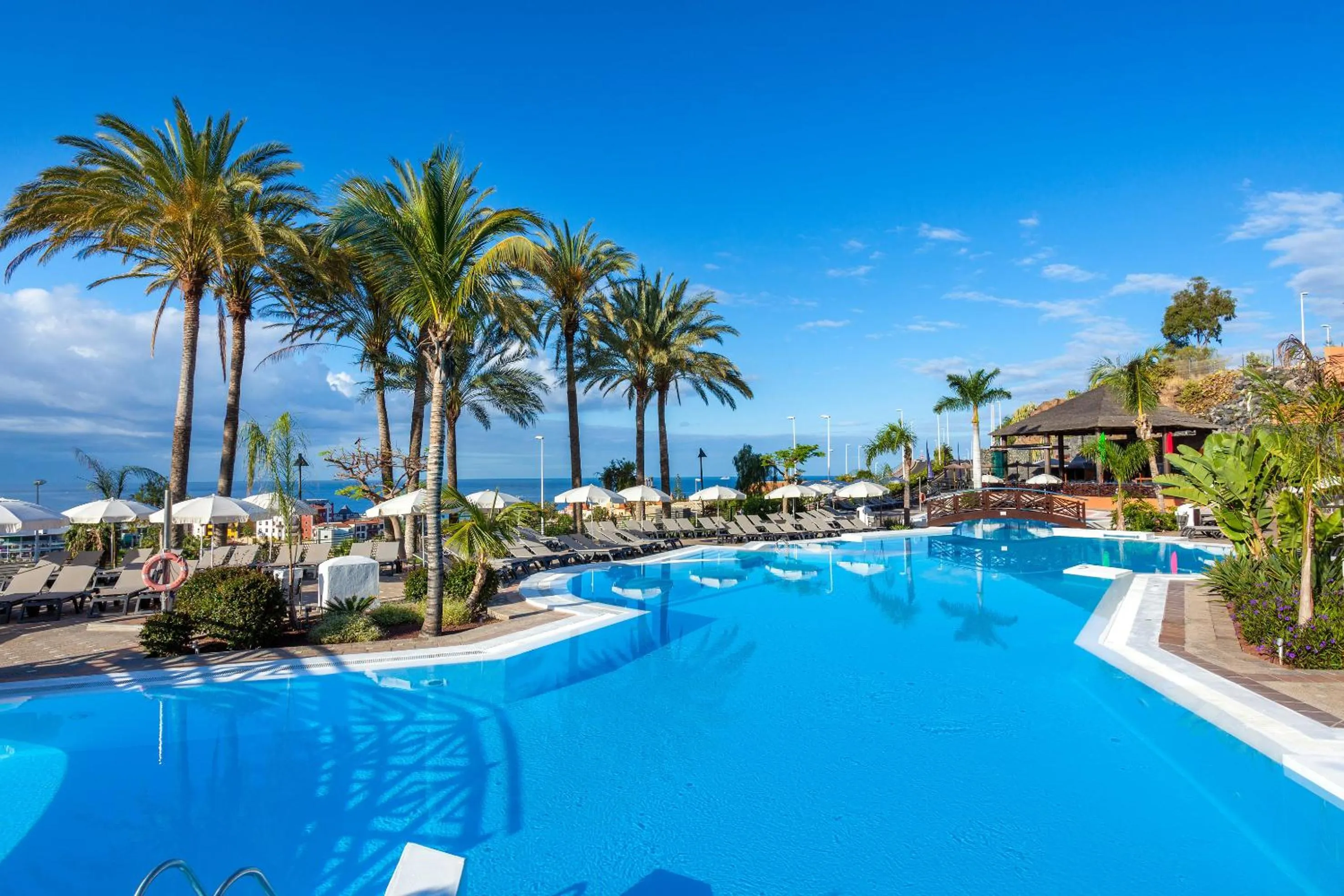 Swimming pool in Melia Jardines del Teide - Adults Only