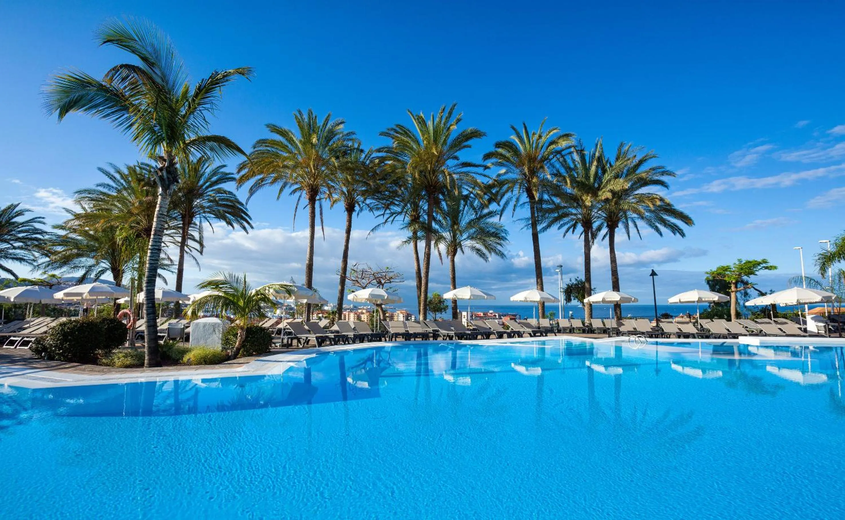 Swimming pool in Melia Jardines del Teide - Adults Only