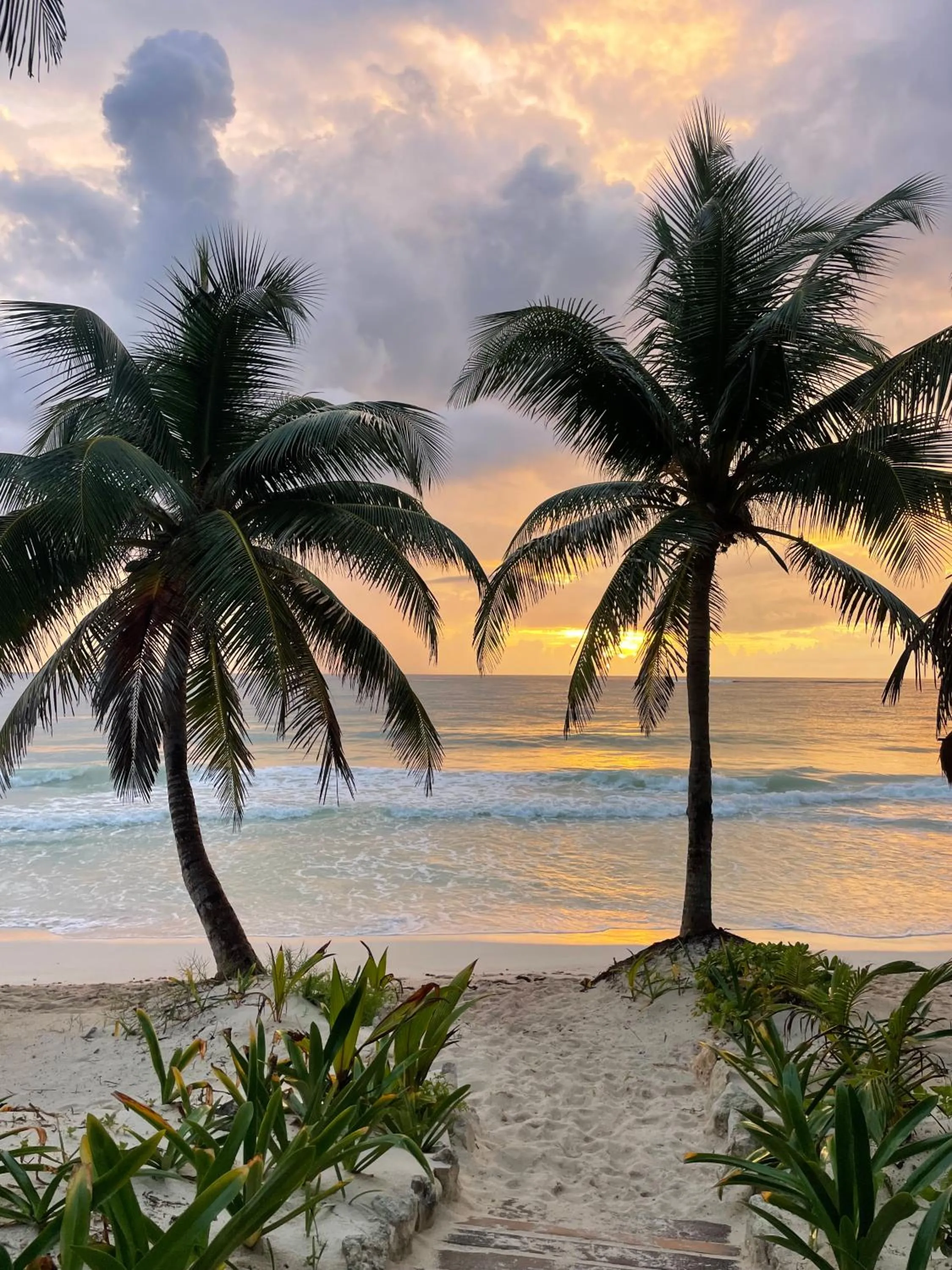 Sunrise in Olas Tulum