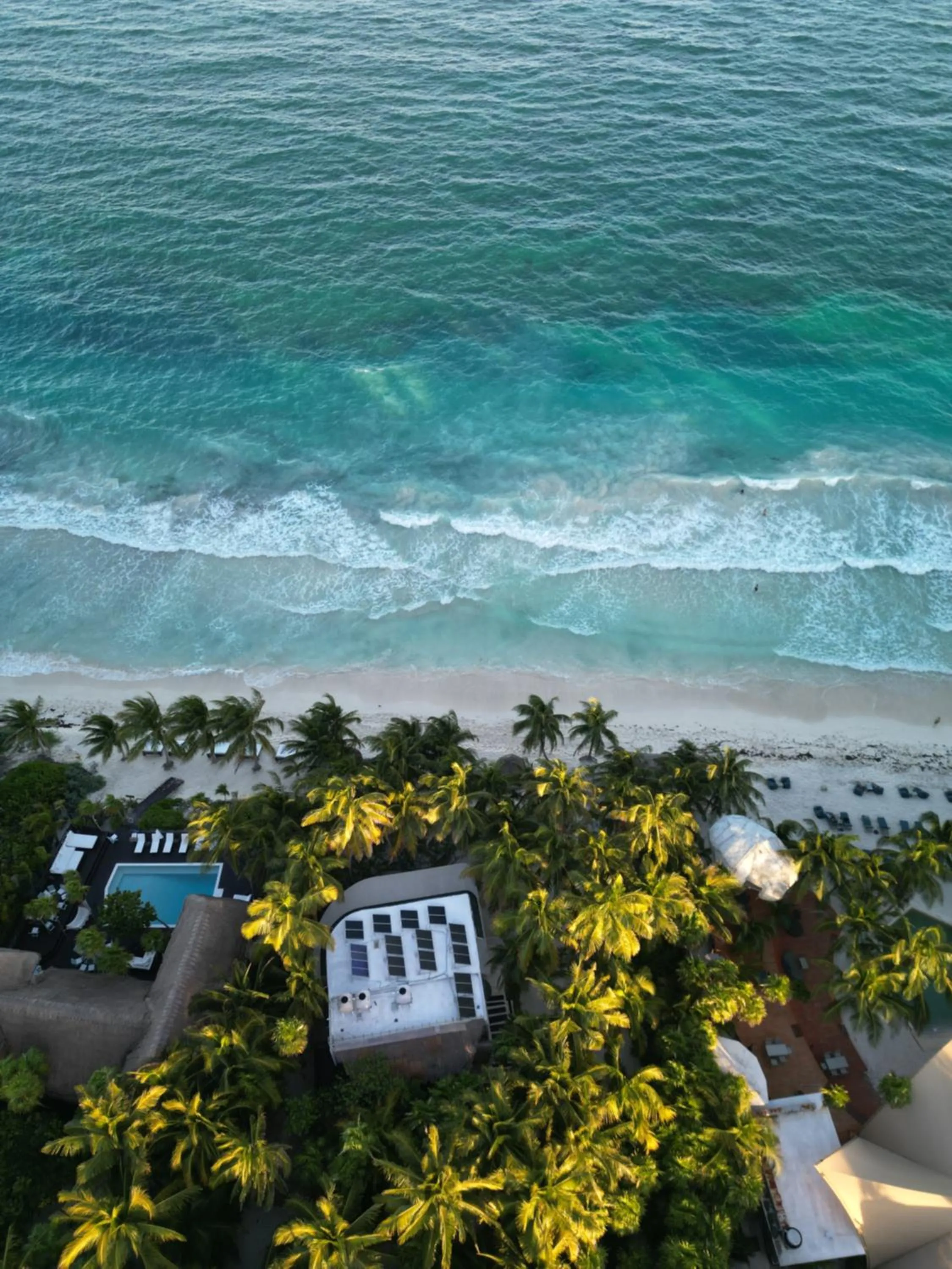 Olas Tulum