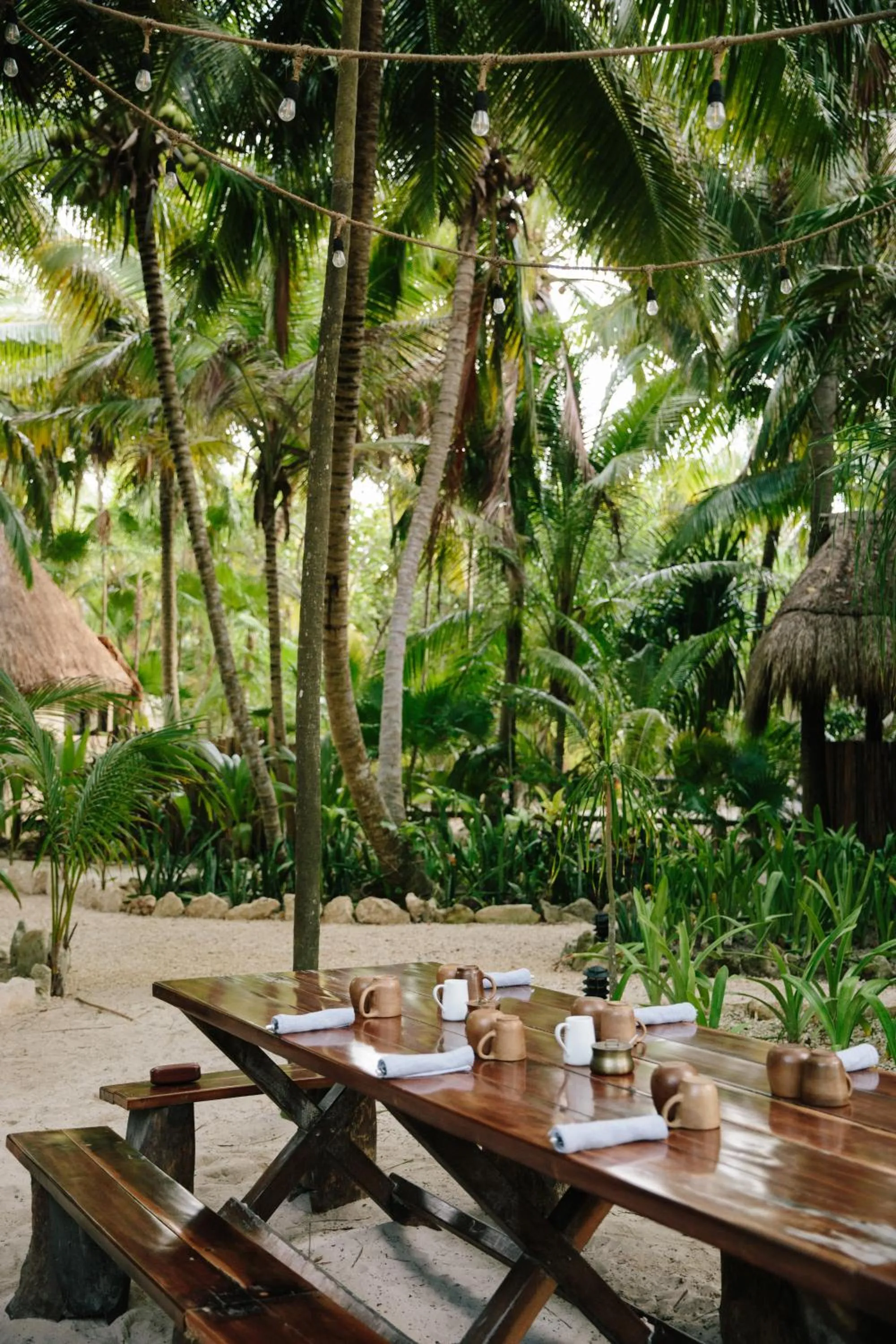 Olas Tulum