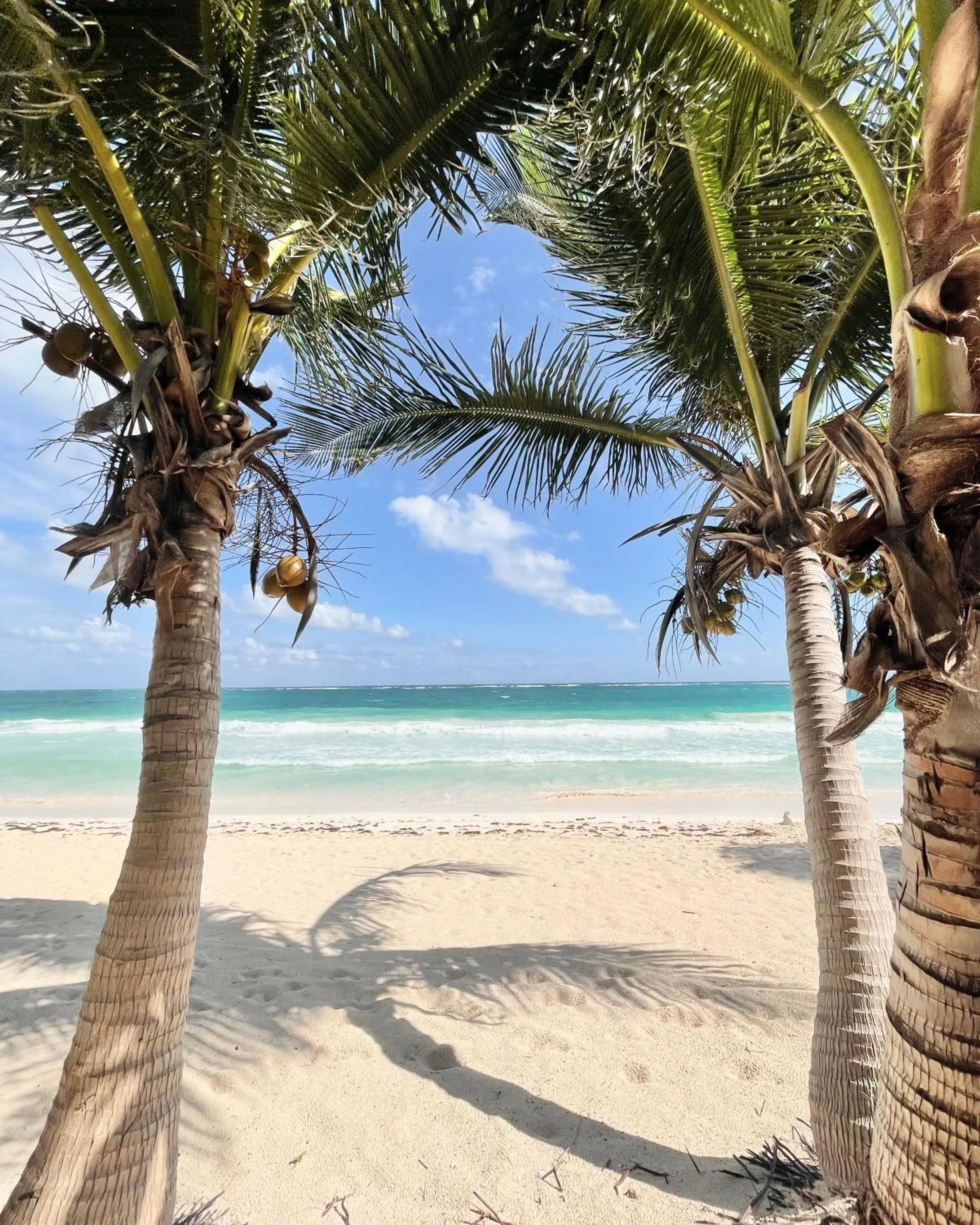 Olas Tulum