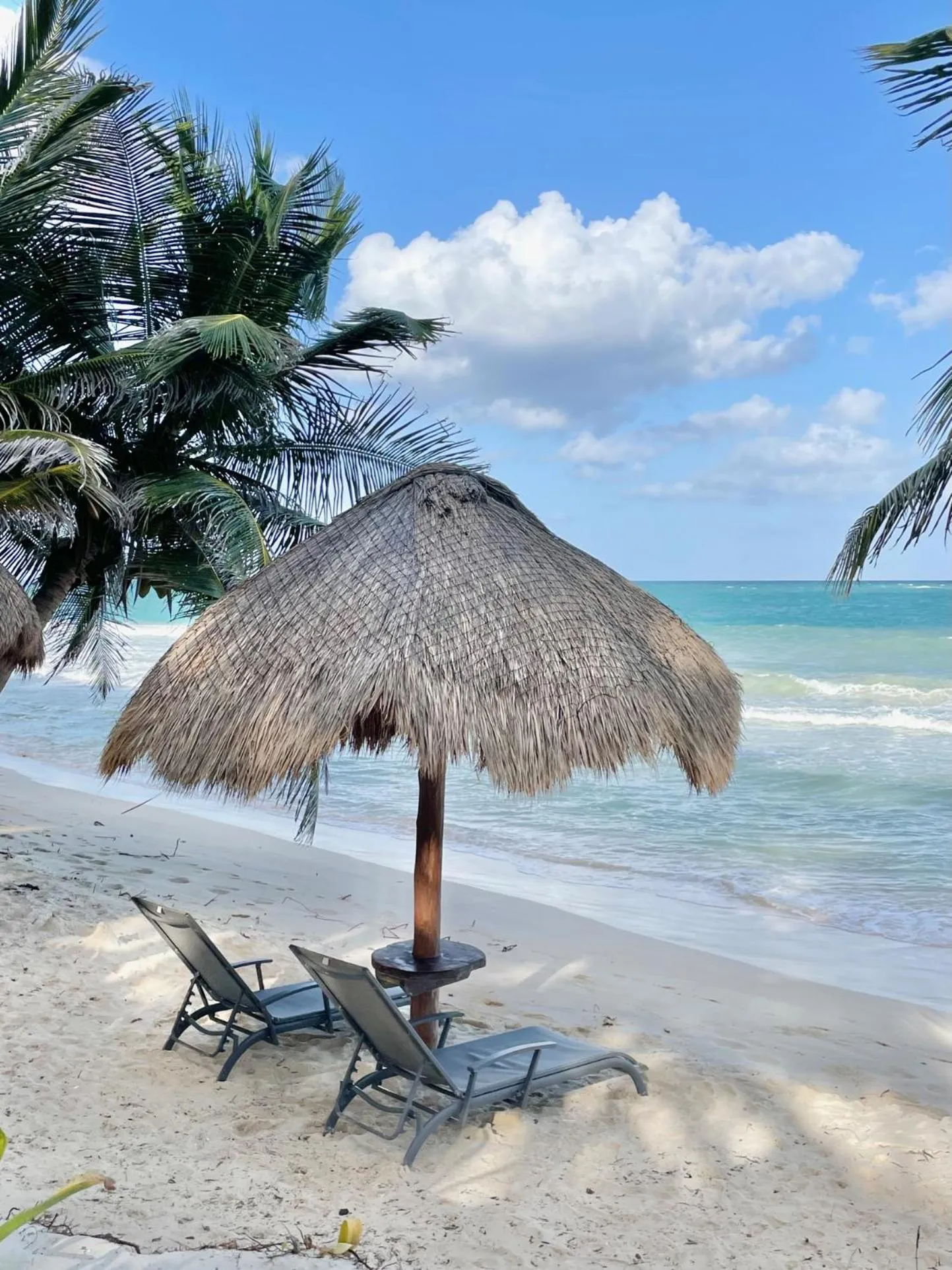 Olas Tulum