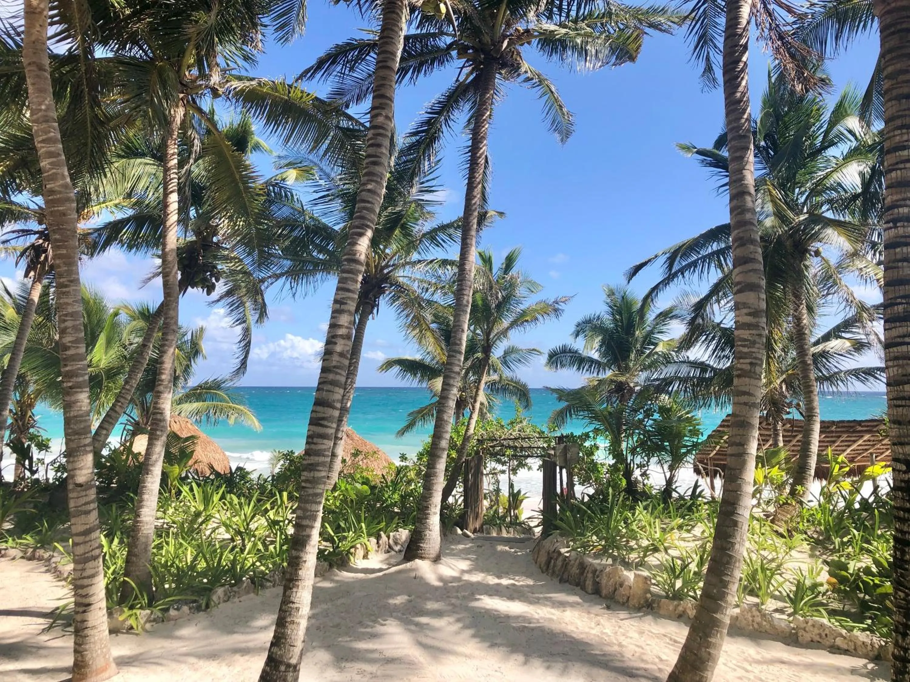 Olas Tulum