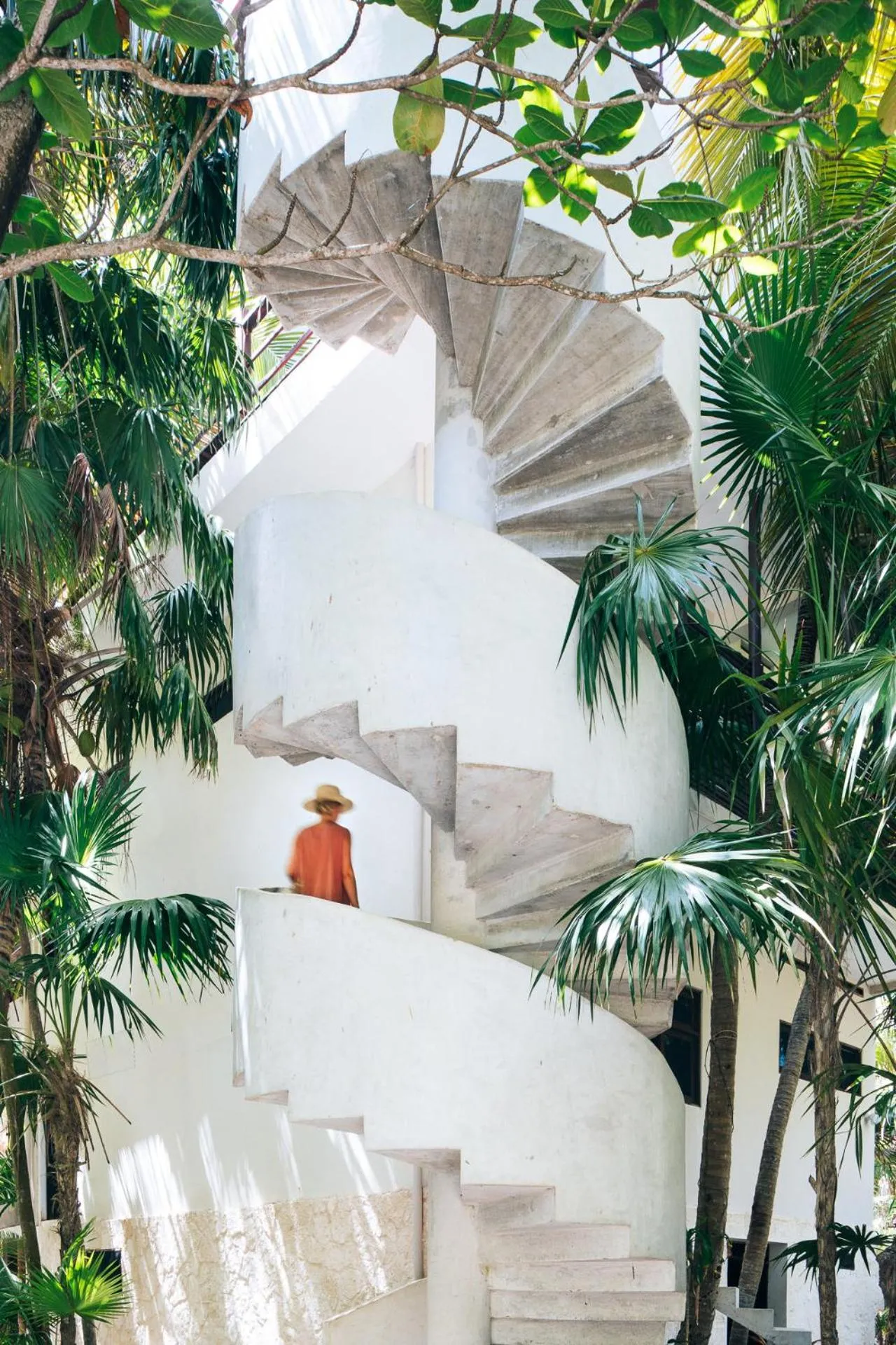 Olas Tulum
