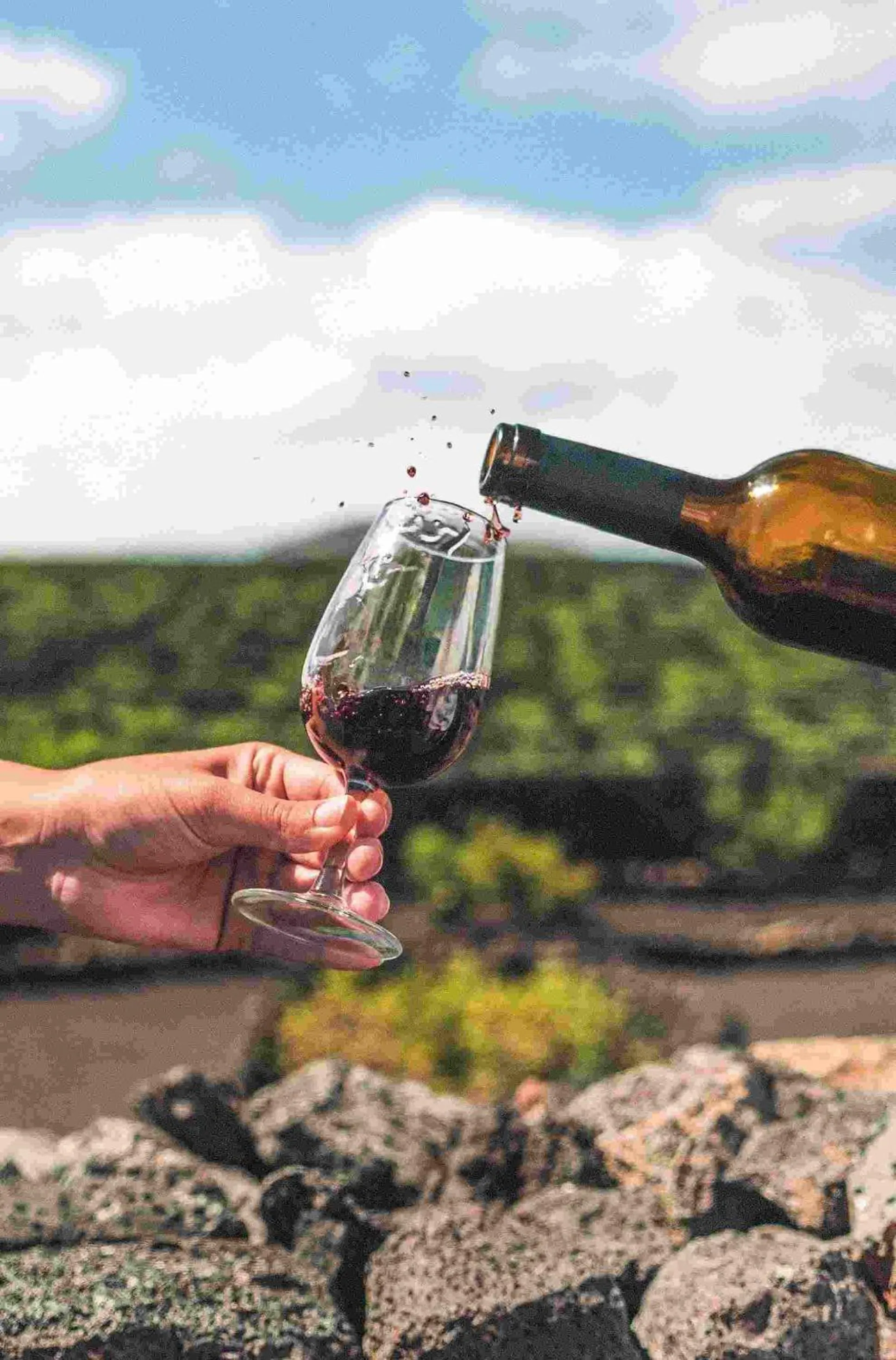 Day in Paradisus Salinas Lanzarote - All Inclusive - Adults Only