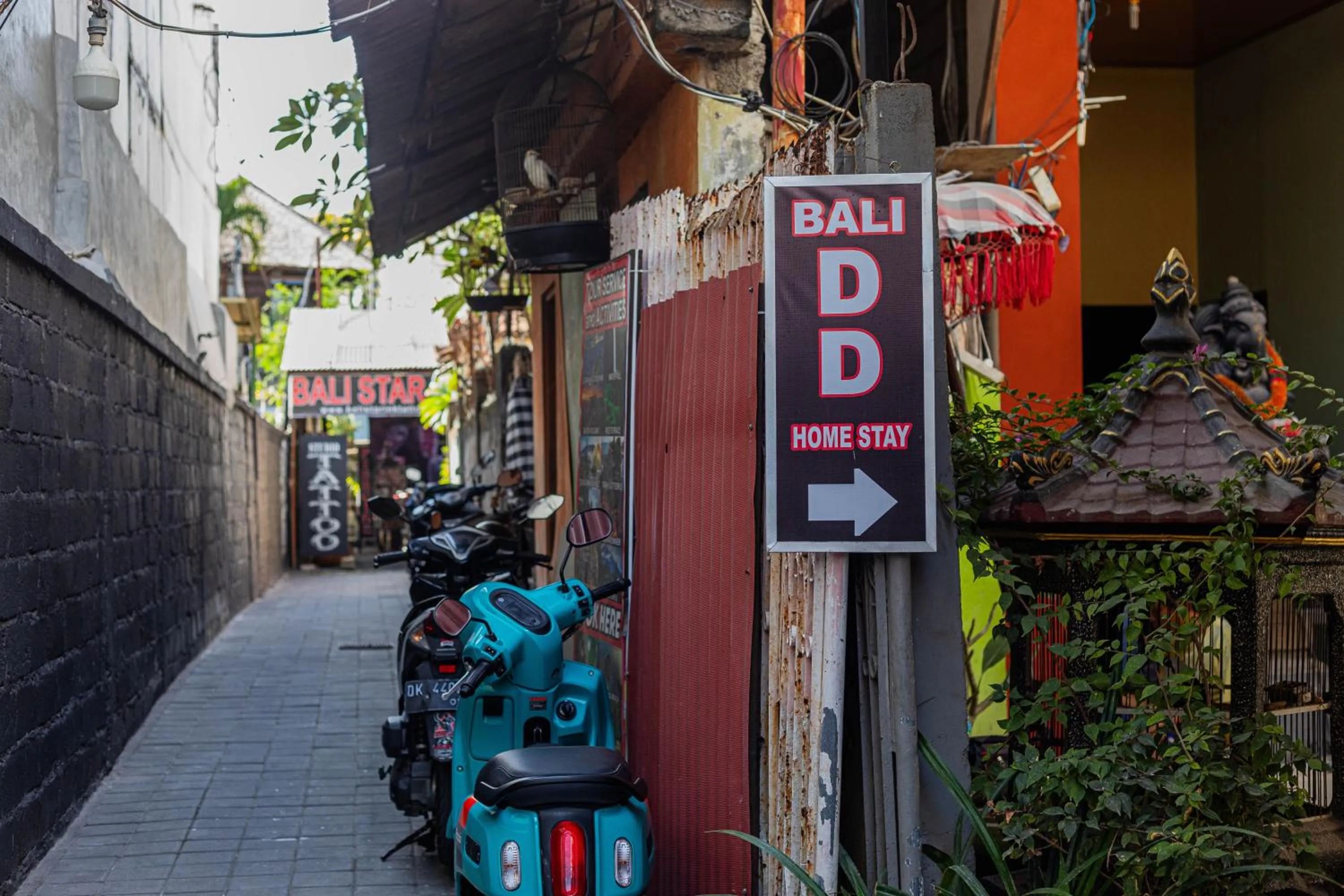 Property building in Bali DD homestay seminyak
