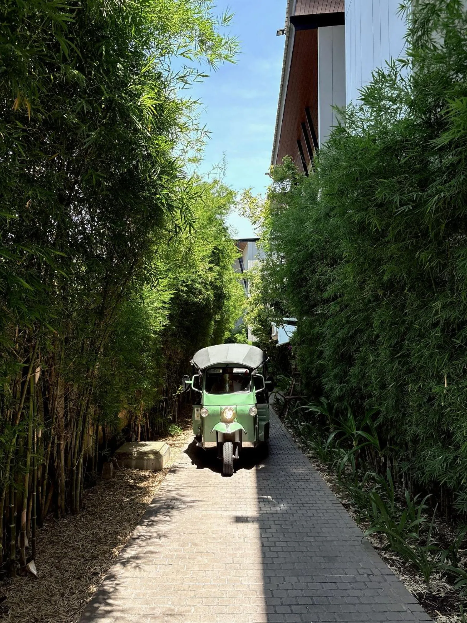 Natural landscape in VARANA Krabi Hotel