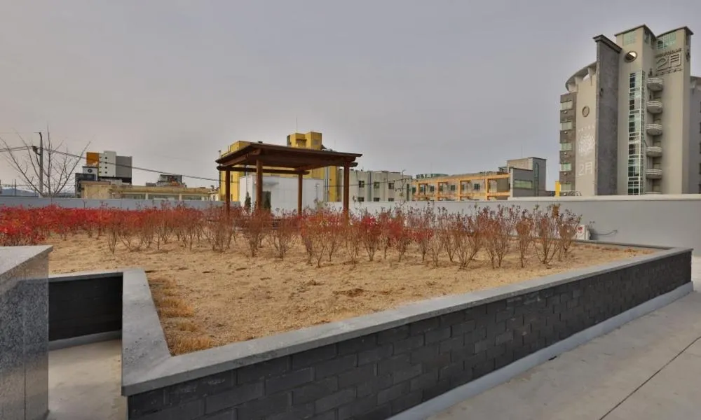 Daegu Billion Western Hotel