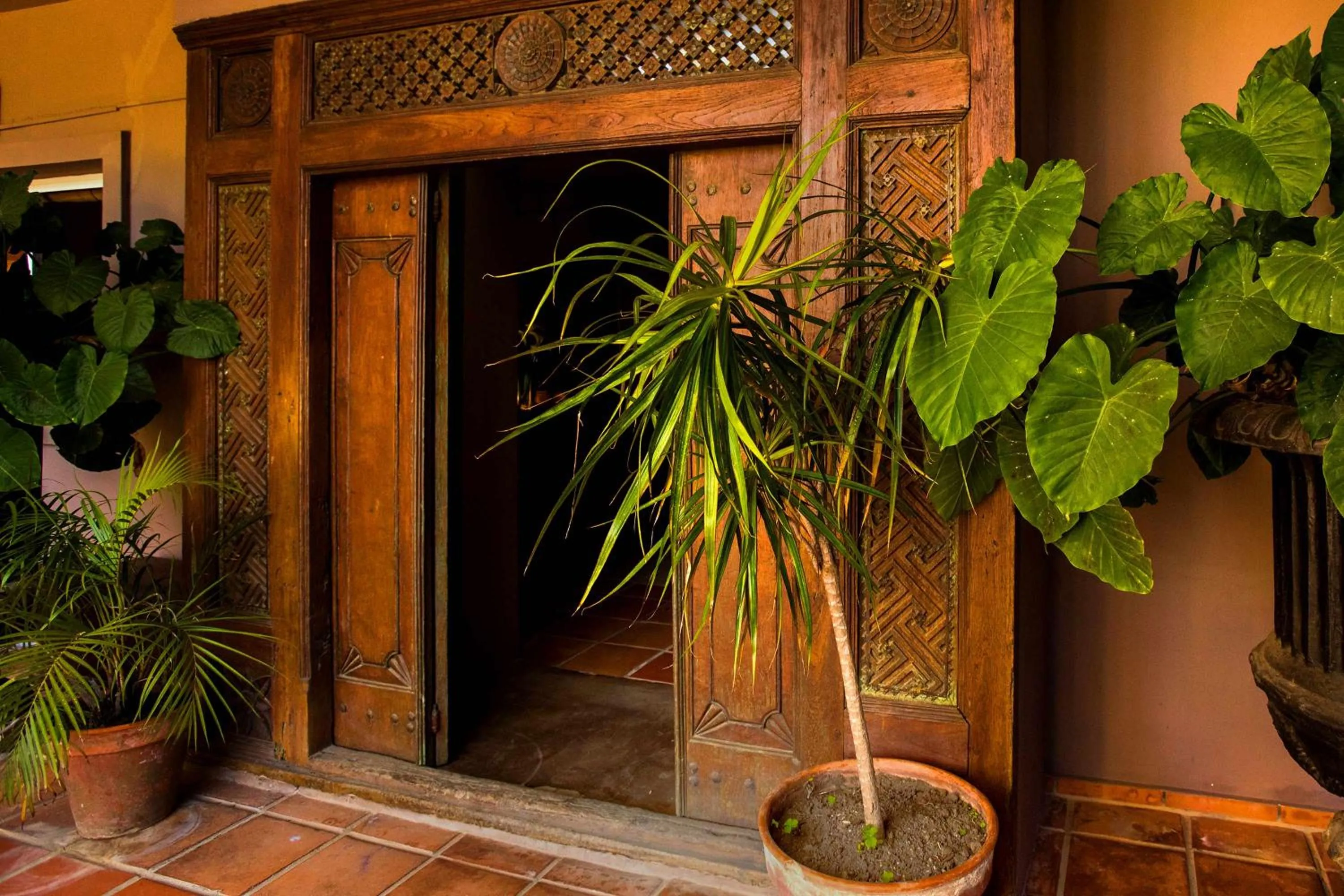 Day in Chillout Hotel Tres Mares