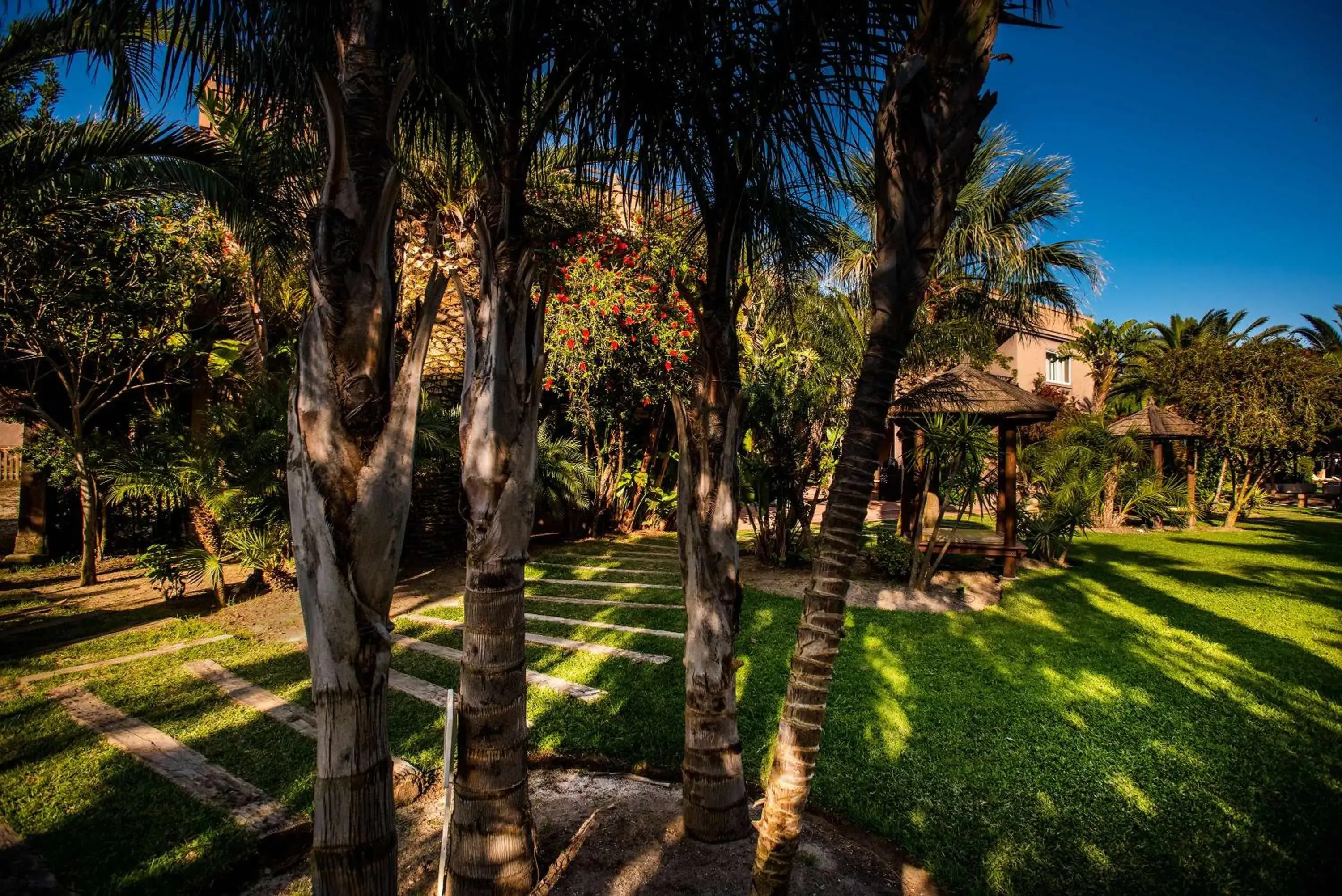 Garden in Chillout Hotel Tres Mares