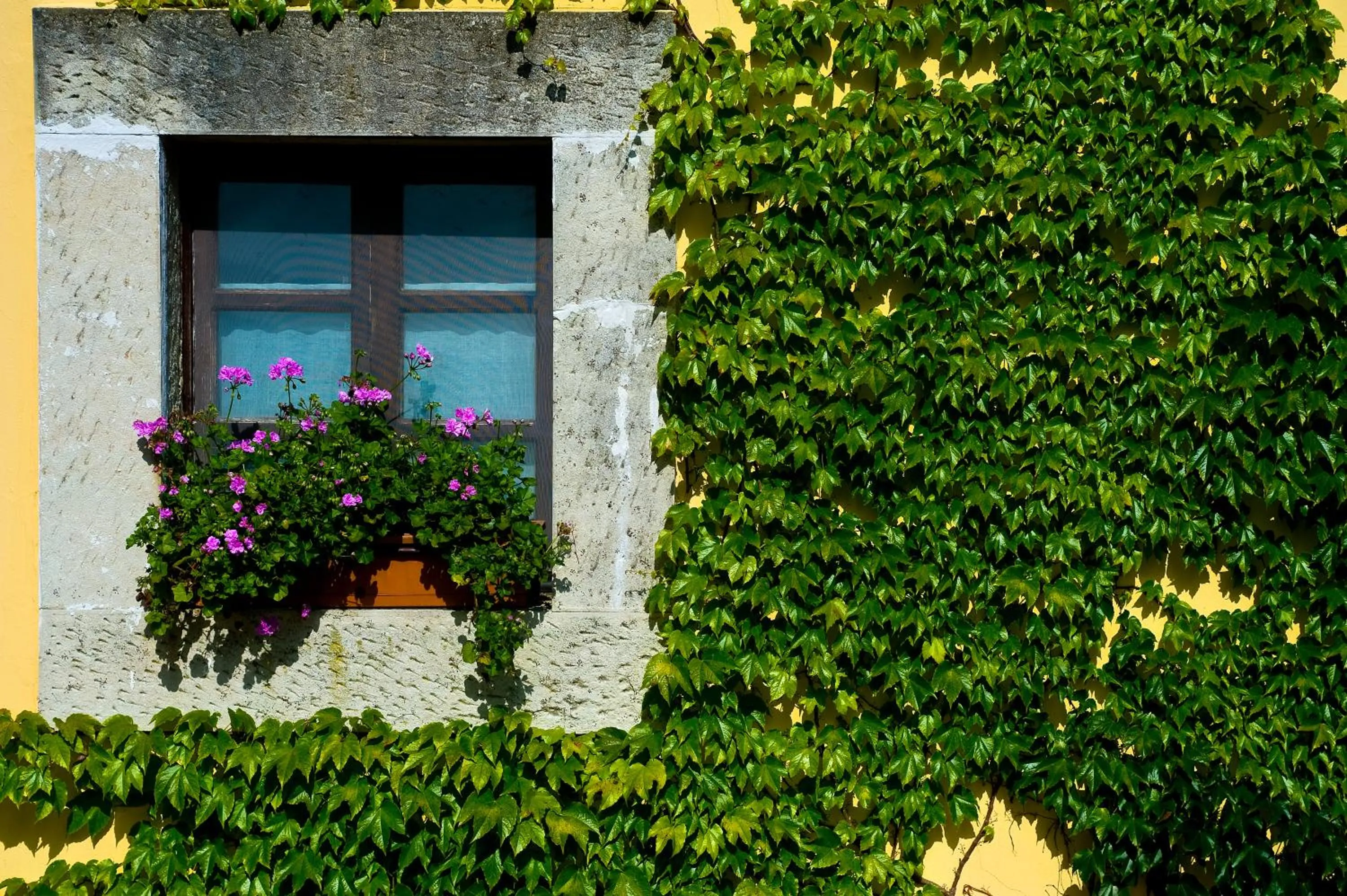 Decorative detail in Palacio de Cutre