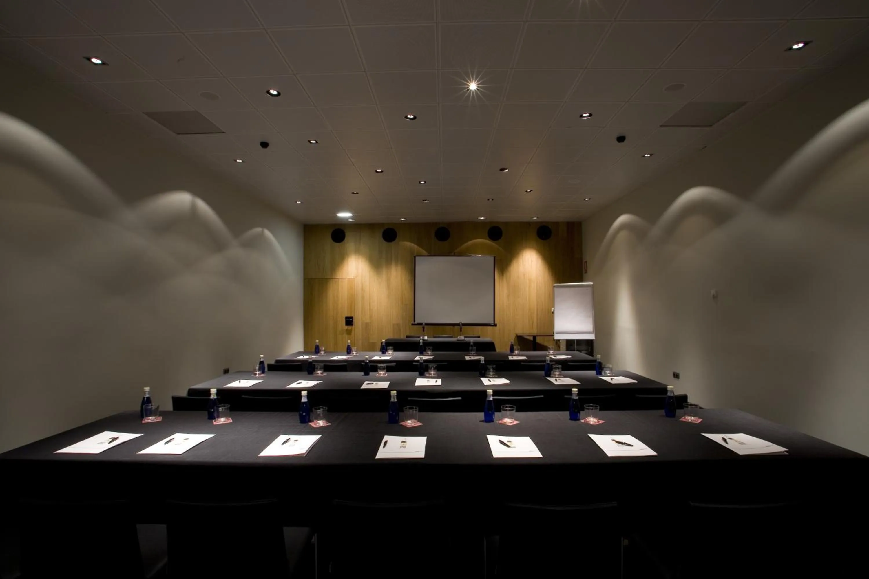 Business facilities in Blu Hotel Almansa