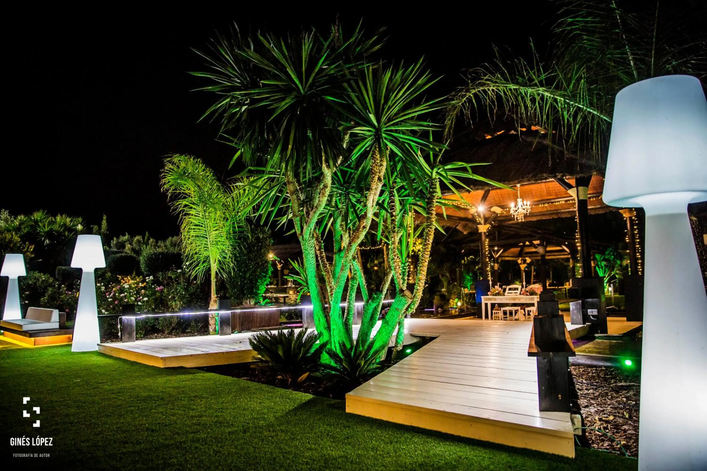 wedding in Executive Sport