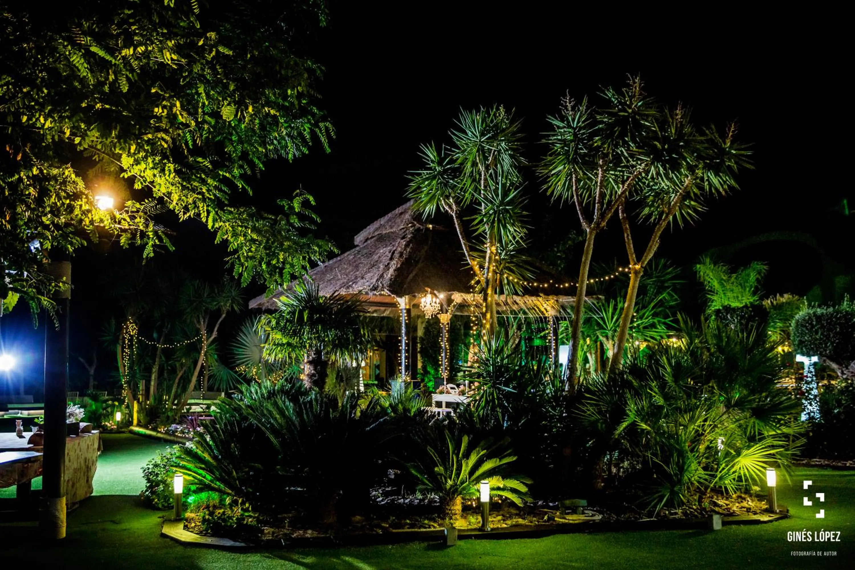 wedding in Executive Sport