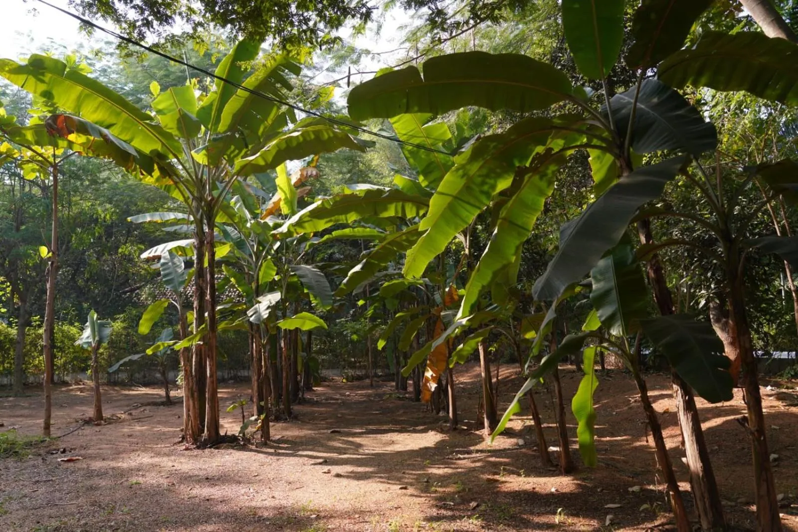 Farm Stay Resort - Shamirpet, Hyderabad