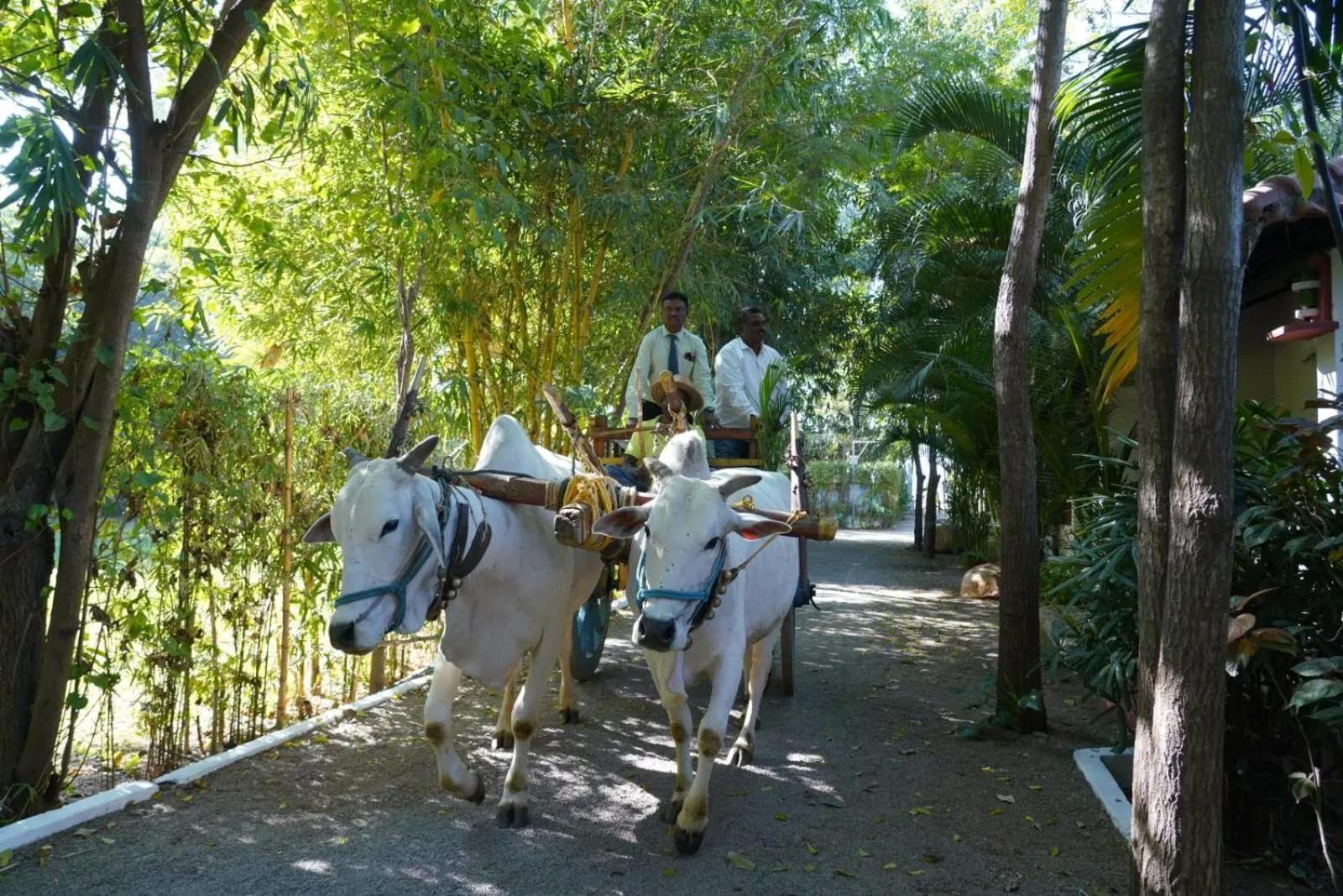 Farm Stay Resort - Shamirpet, Hyderabad