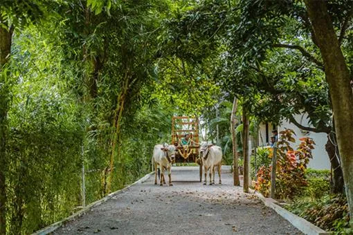 Farm Stay Resort - Shamirpet, Hyderabad