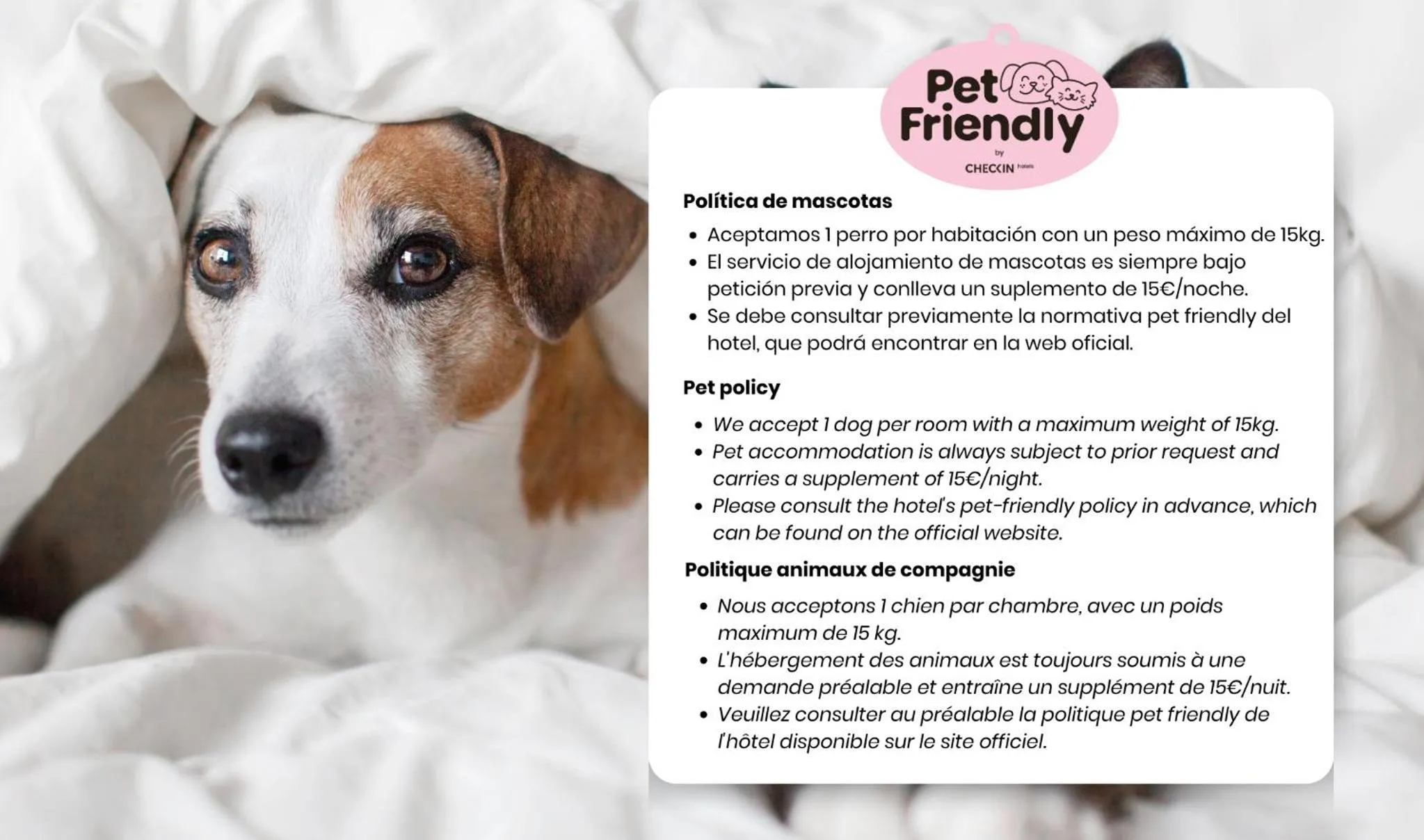 Property building in Checkin Montserrat