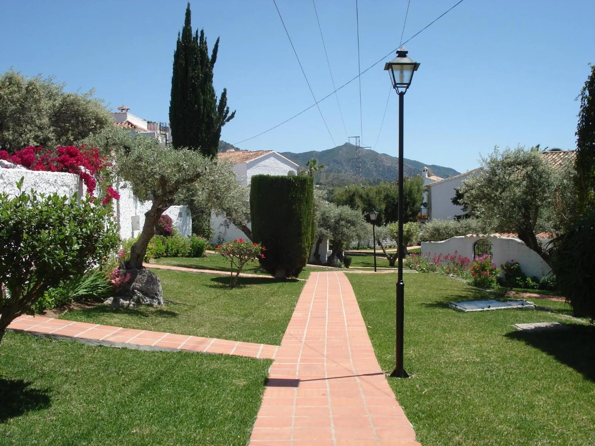 Garden in El Capistrano Sur