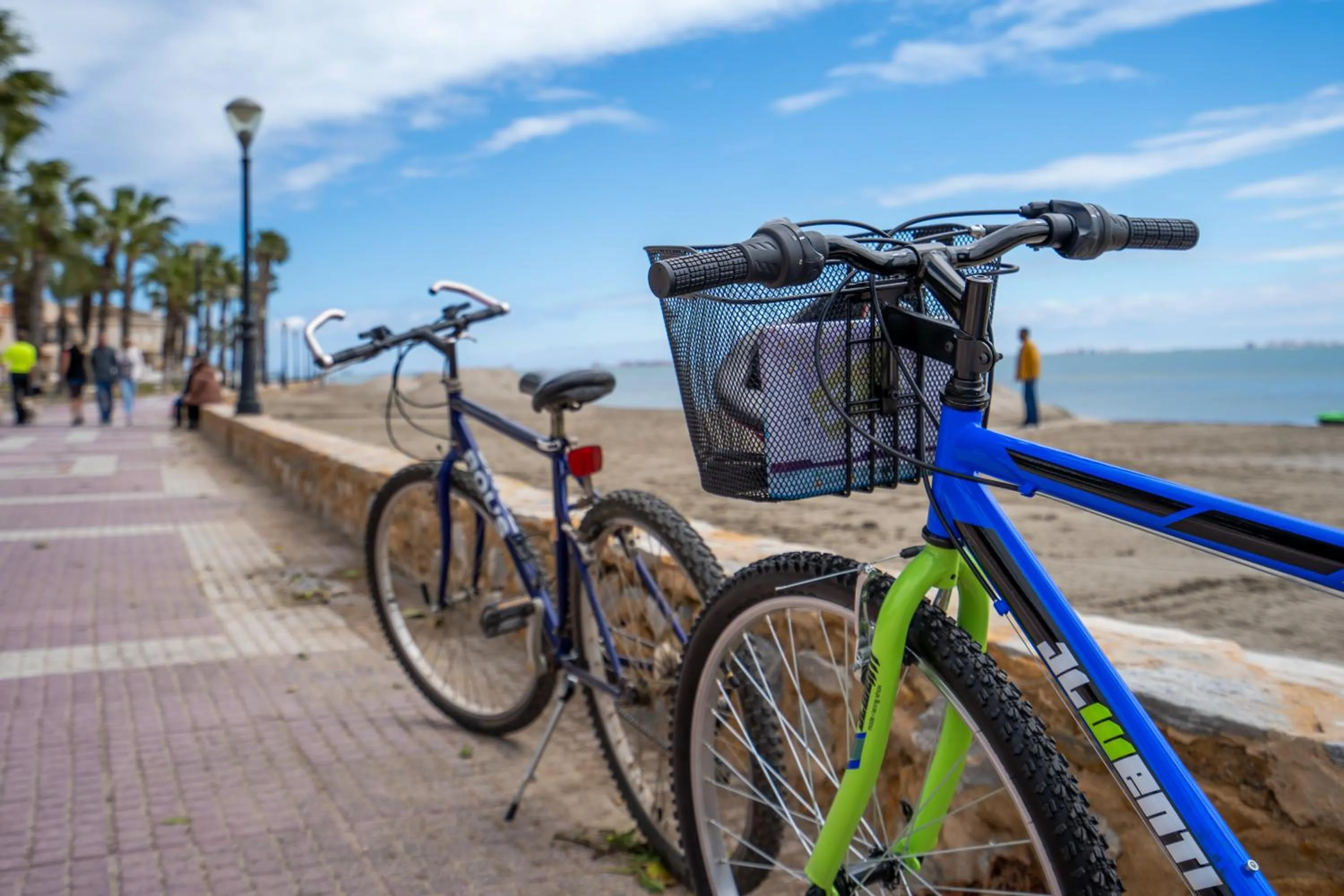 Cycling in LOS NAREJOS Hotel