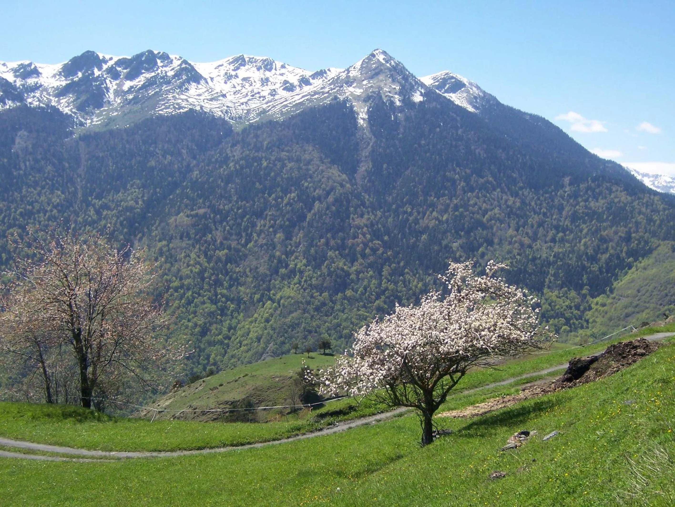 Off site in Tuc Blanc