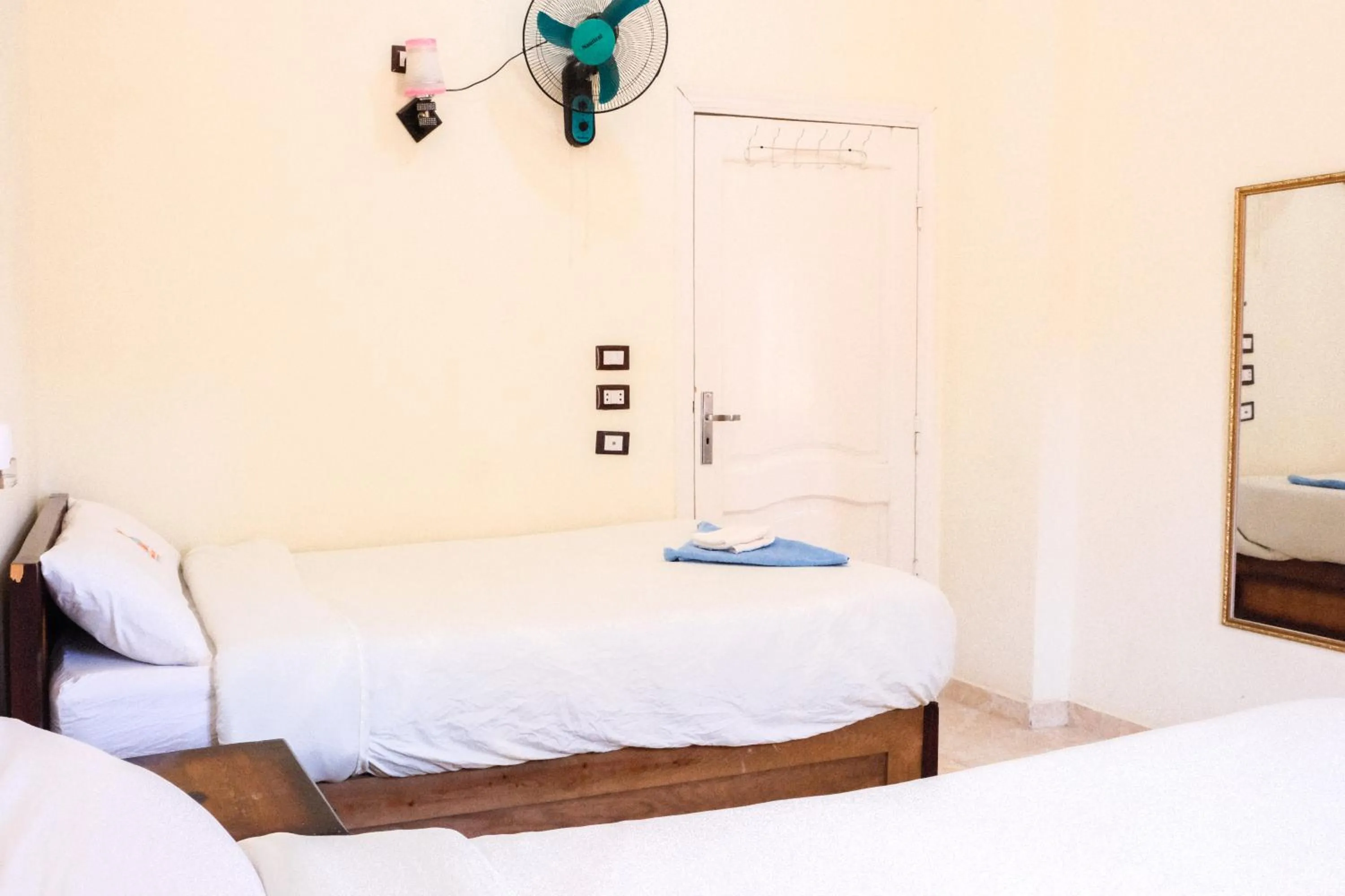 Bed in Al-Manara Hostel Siwa Oasis