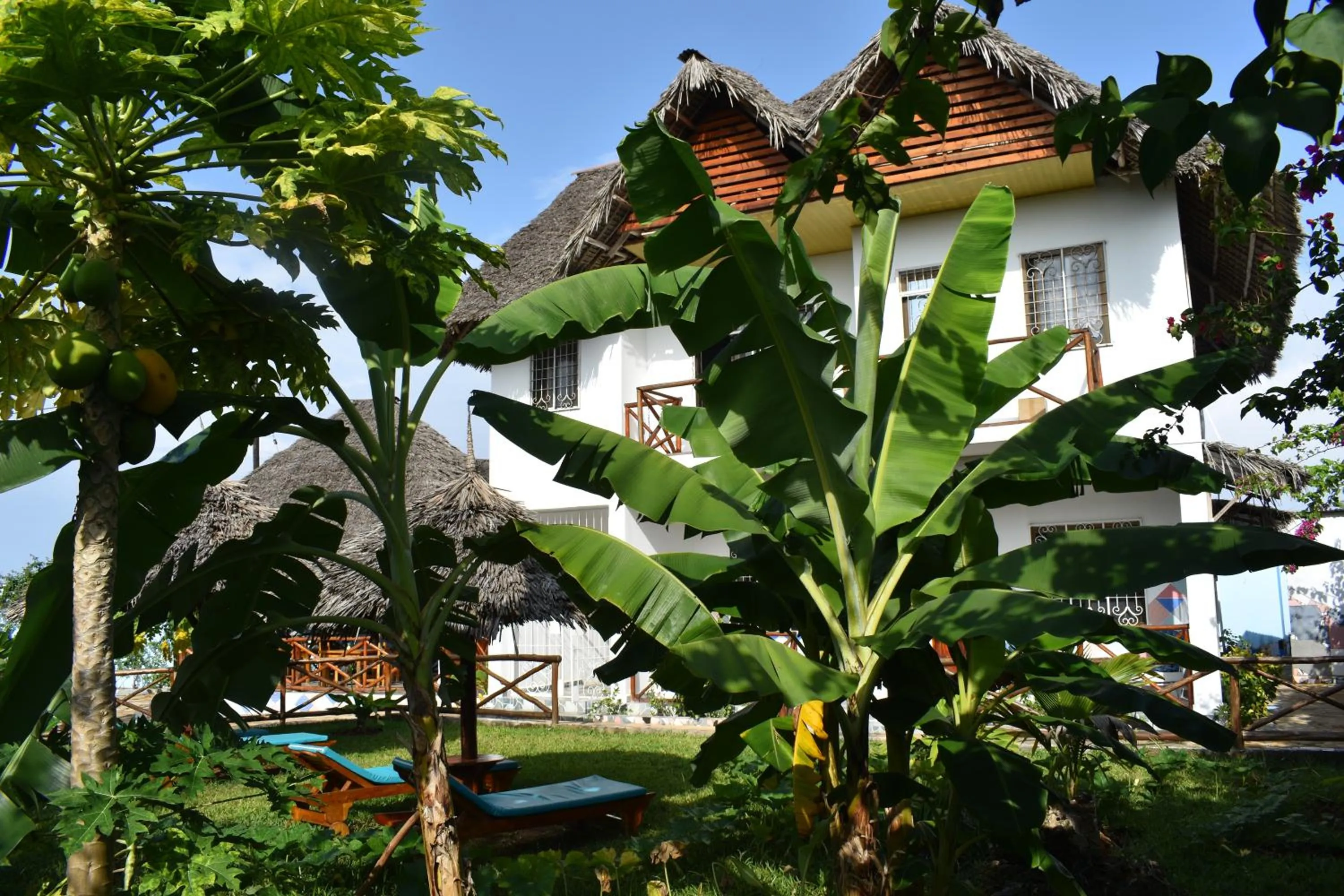 Garden in Pineapple House