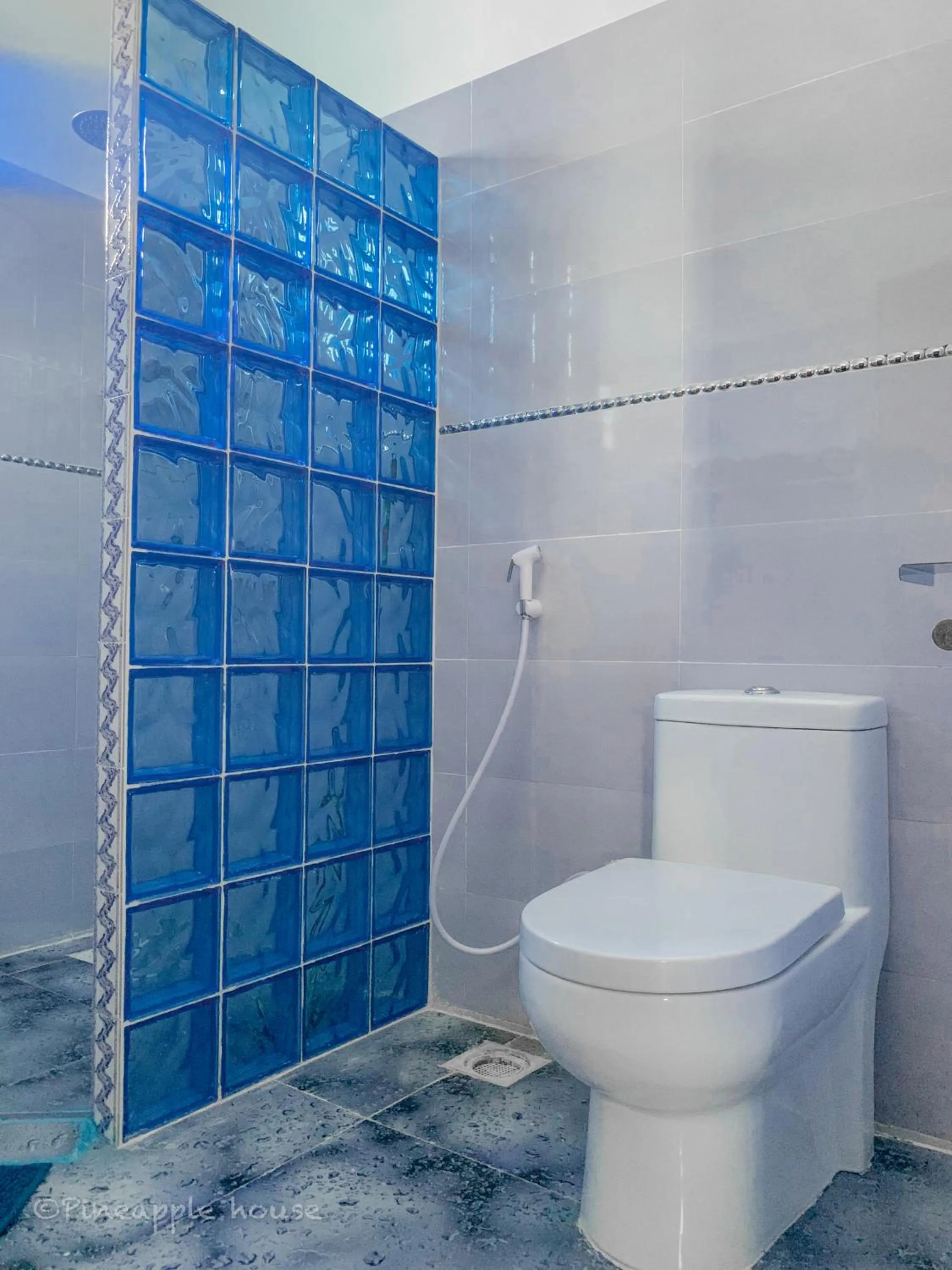 Shower in Pineapple House